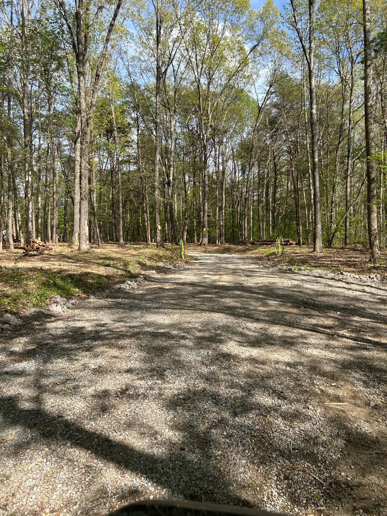  for Z's Land Management & Forestry Mulching in Smithville, TN