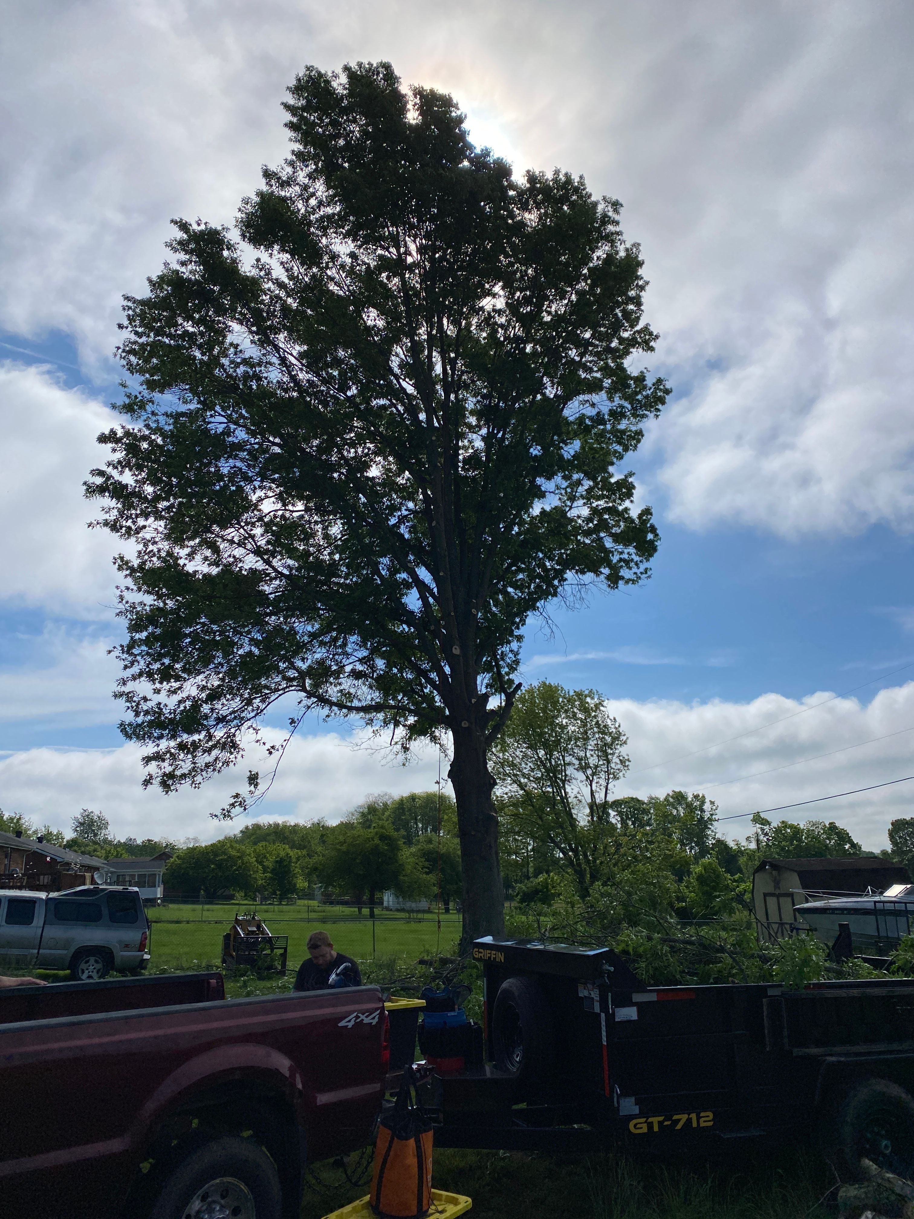 All Photos for Houtz Tree Service in Lexington, KY