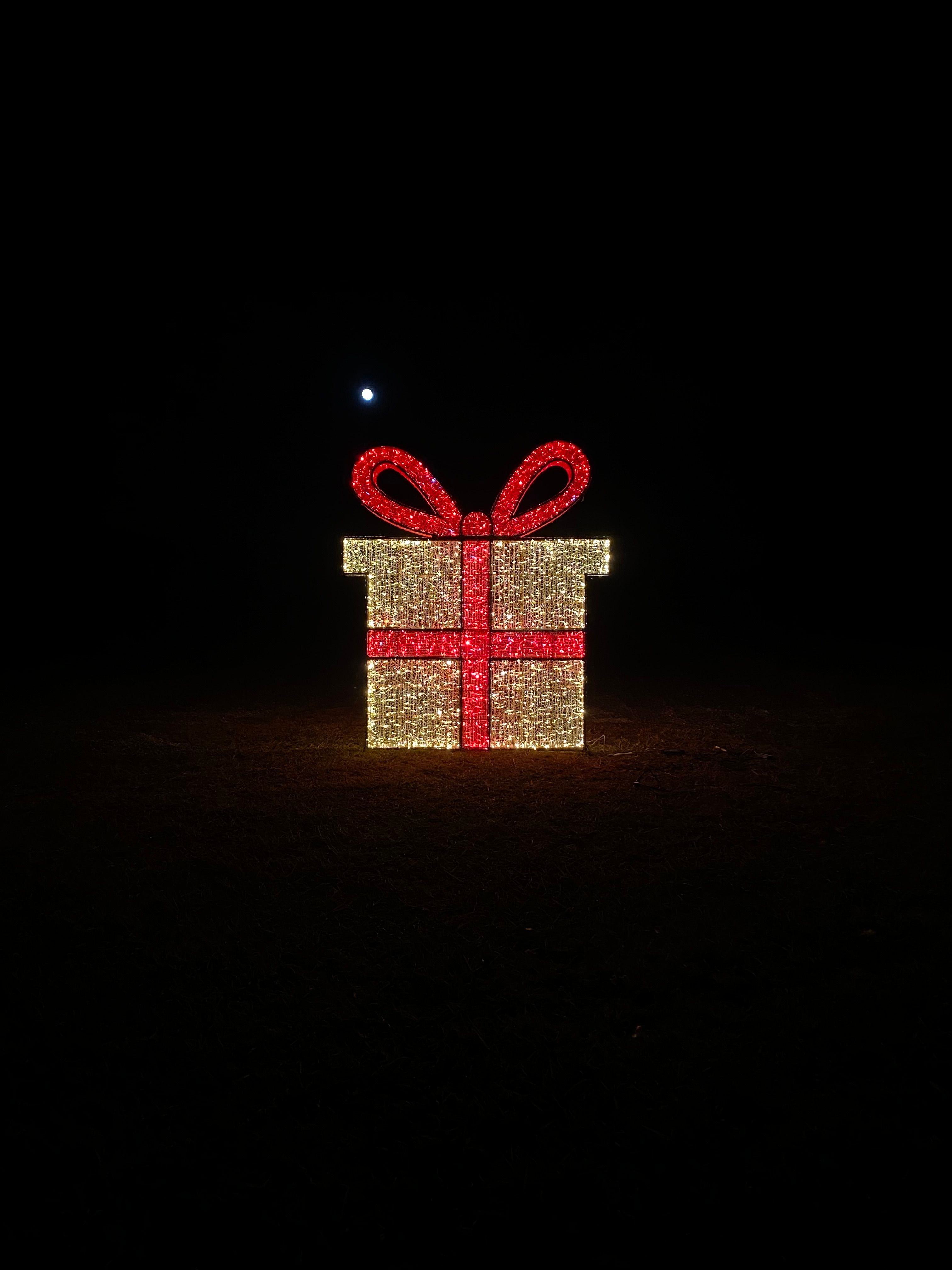  for Elite Lighting Solution in Midlothian, VA