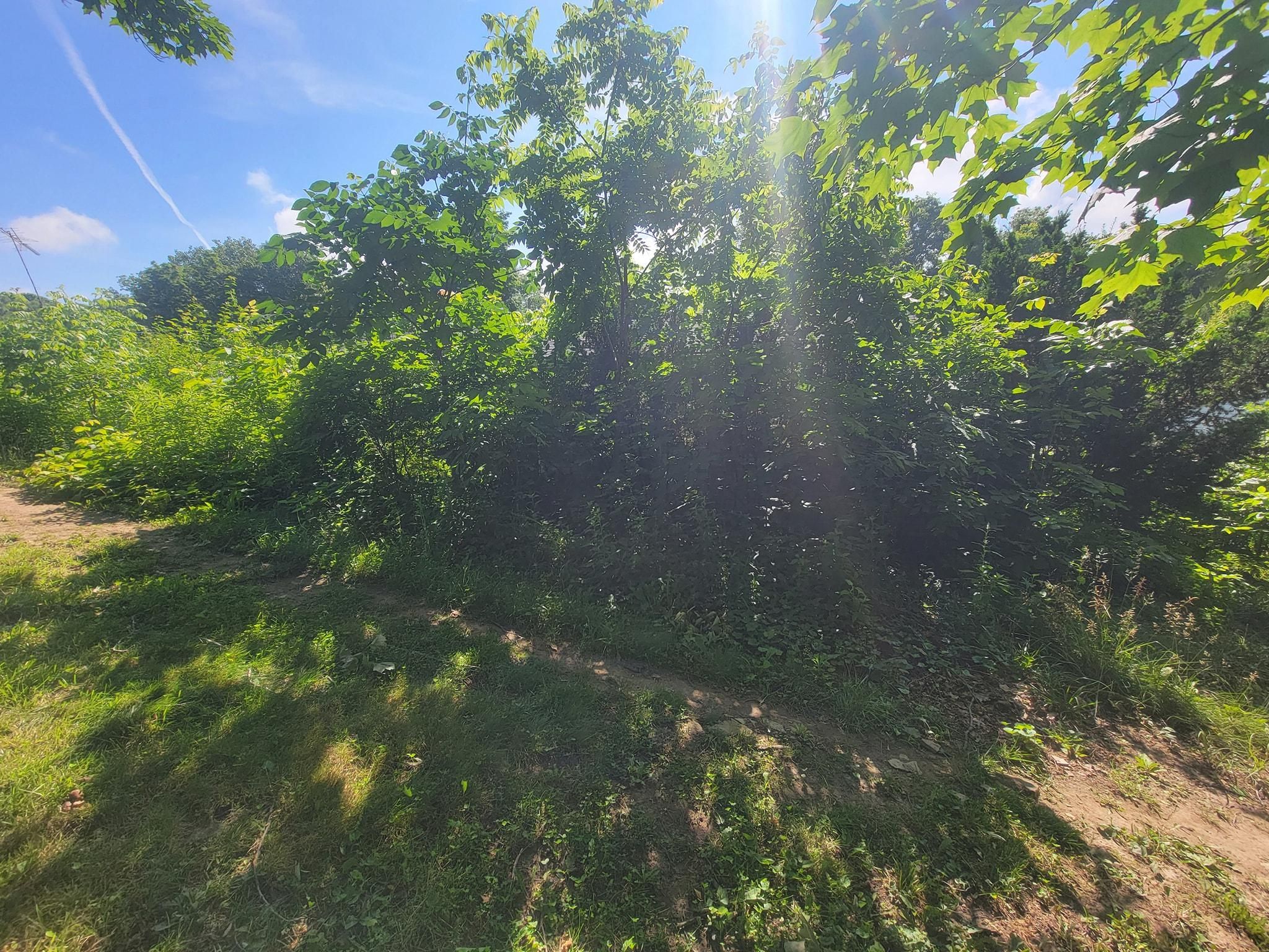 All Photos for Tingley's Green Land Services in Springfield, Ohio