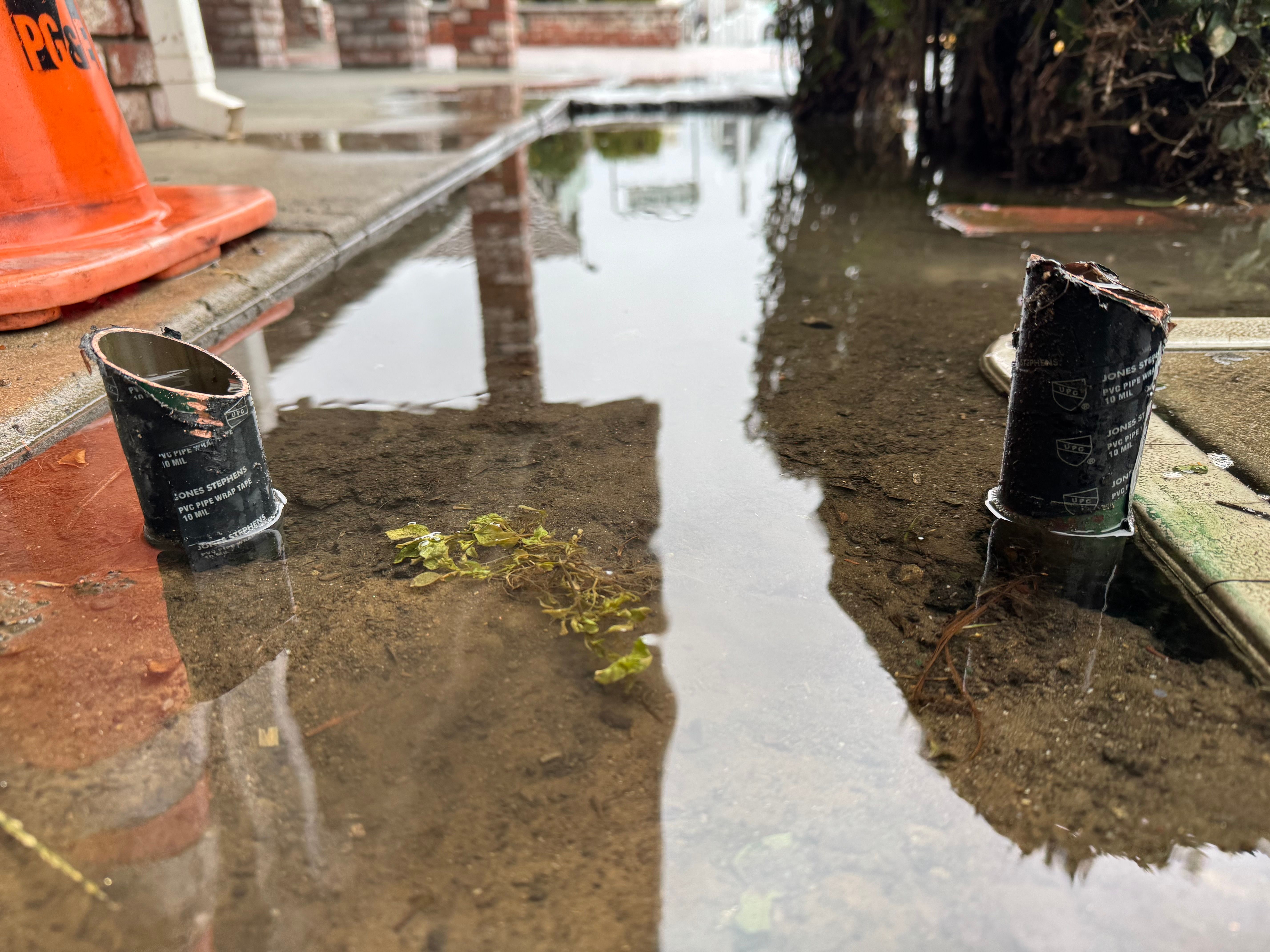  for SALCIDO'S BACKFLOW SERVICES INC in Santa Clara, CA