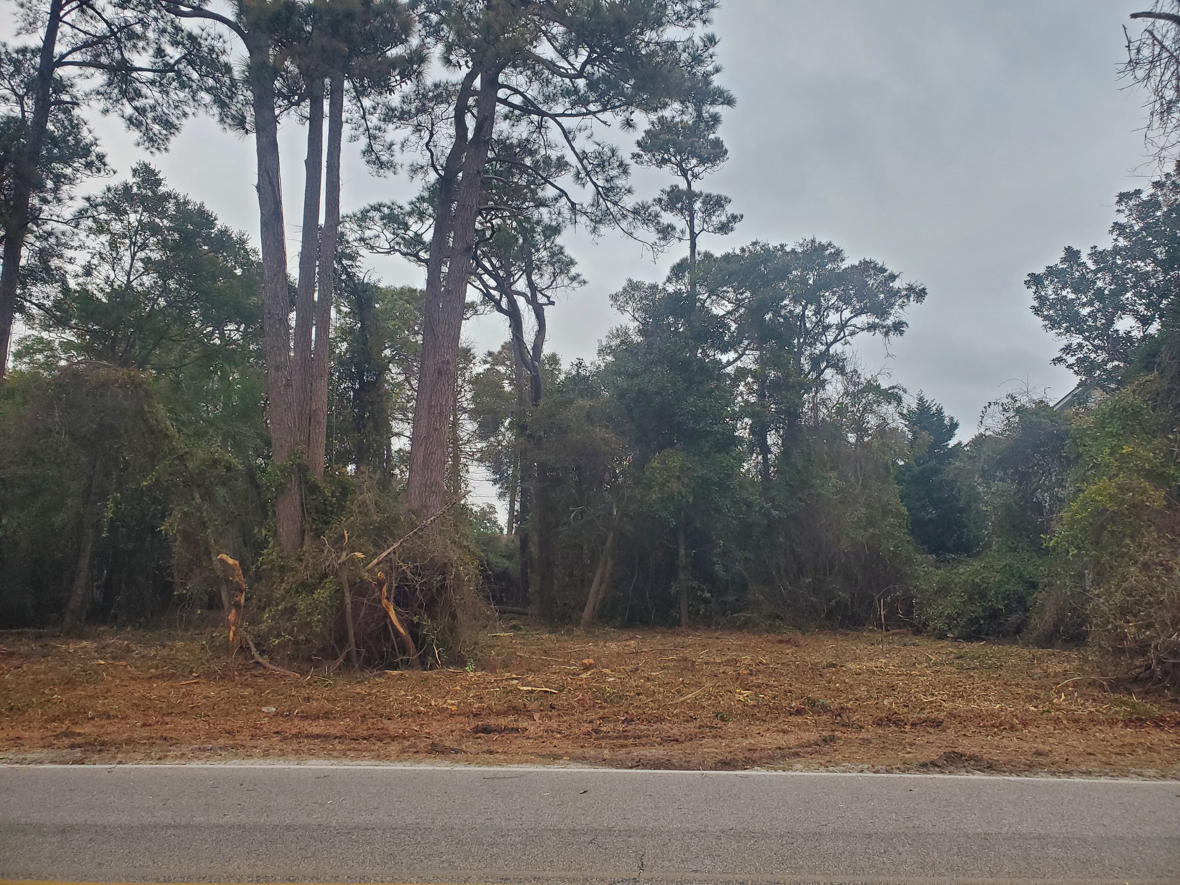 All Photos for TJ Farm and Land Management in Loris, SC