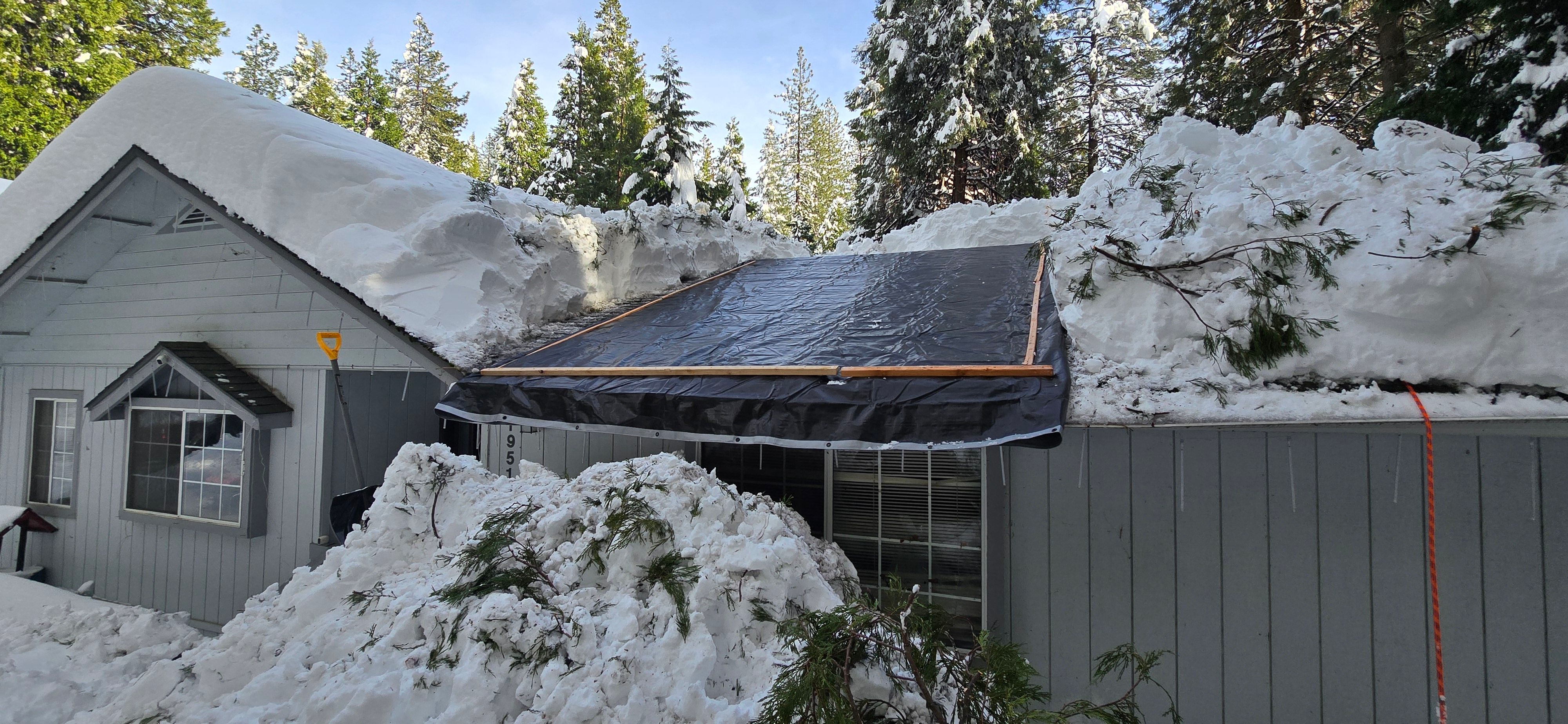  for George Staddan's Professional Tree Care in Placerville, CA