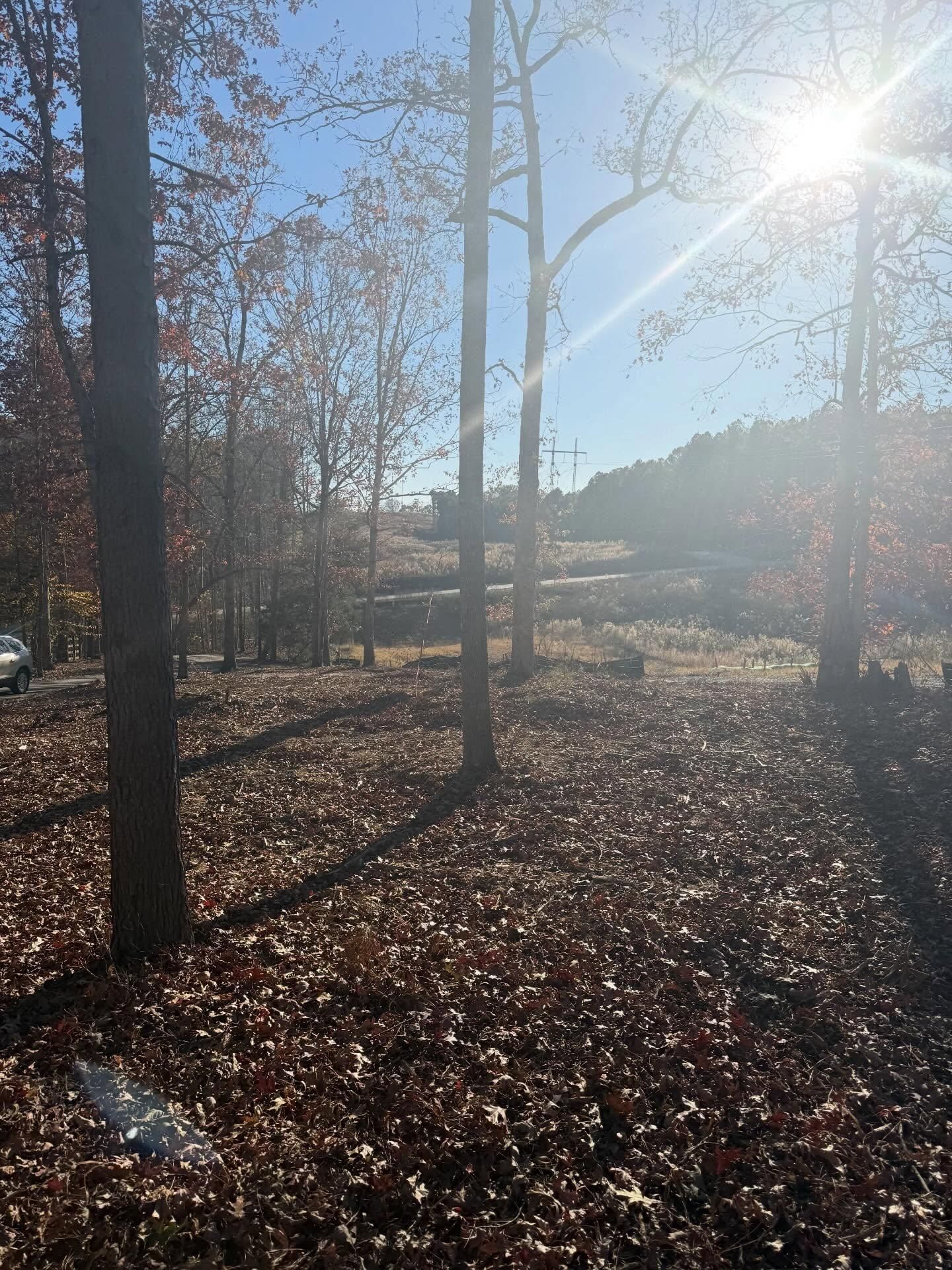  for T Crane Grading LLC in Clarkesville, GA