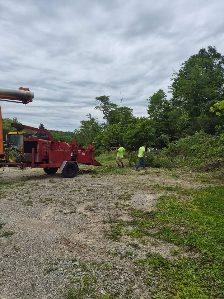  for Carpenter's Tree Service in Aurora, IN