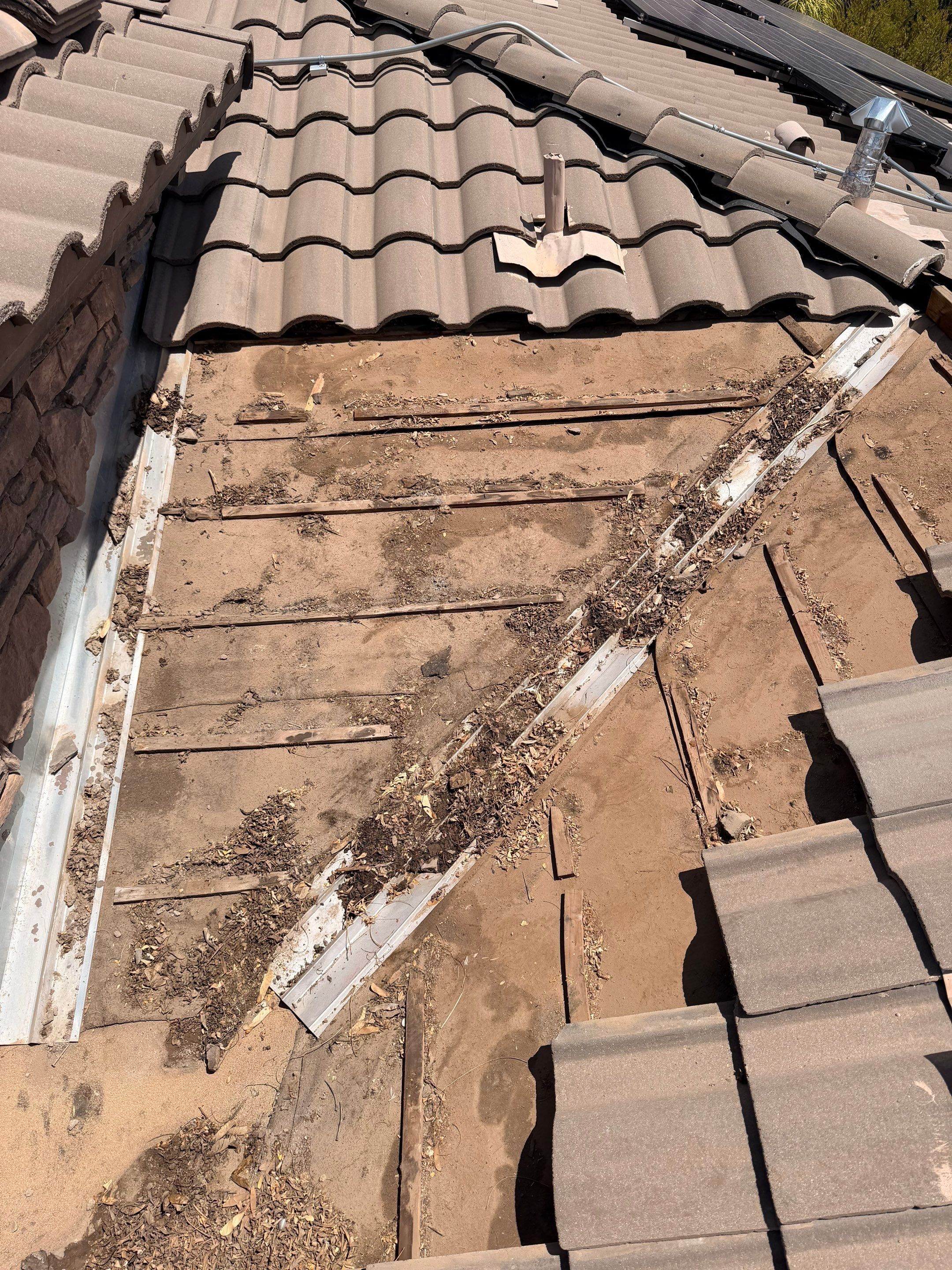  for Olson & Sons Contracting in Mesa, AZ