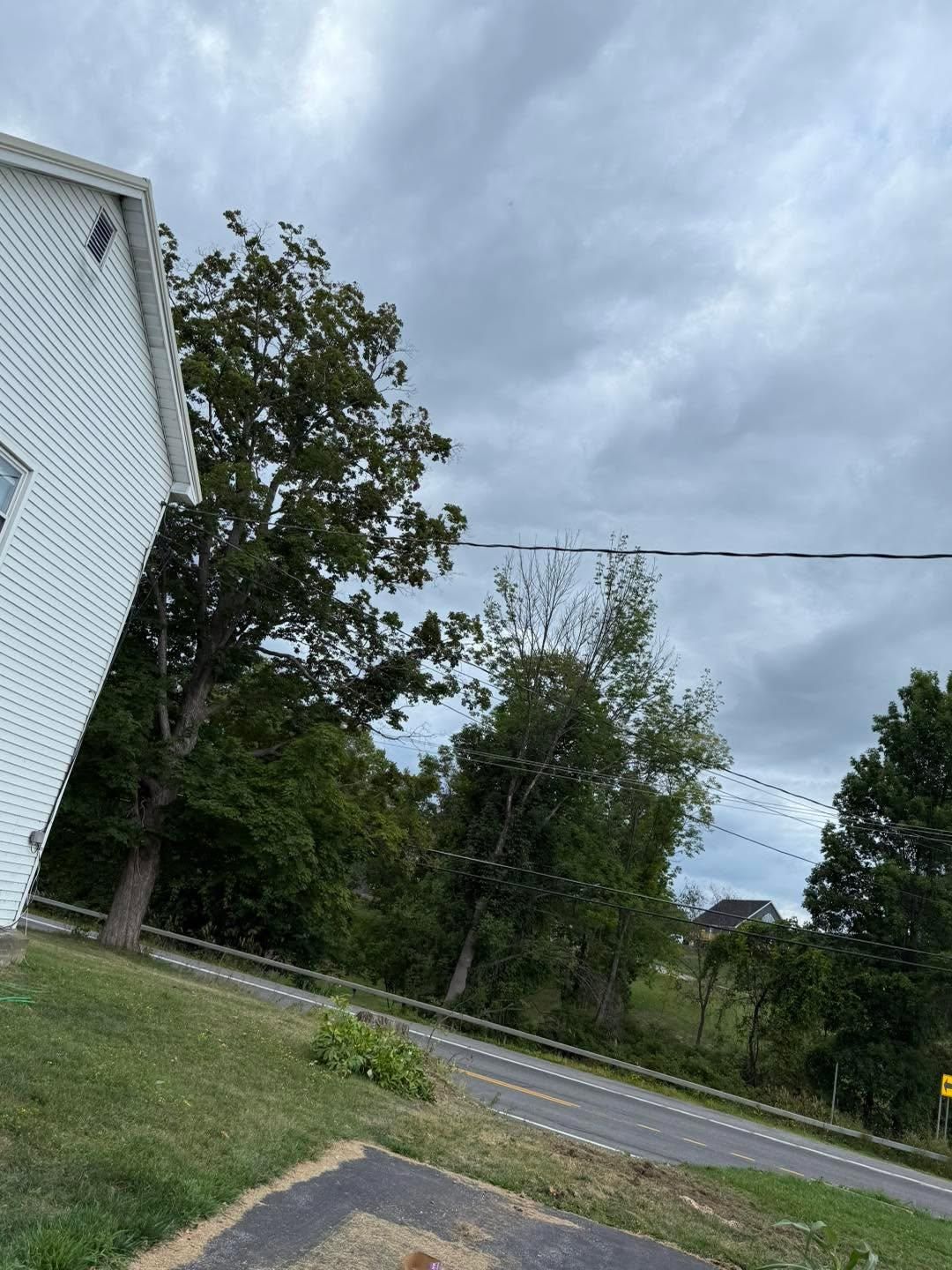  for Sterlings Tree Removal in Cobleskill, New York