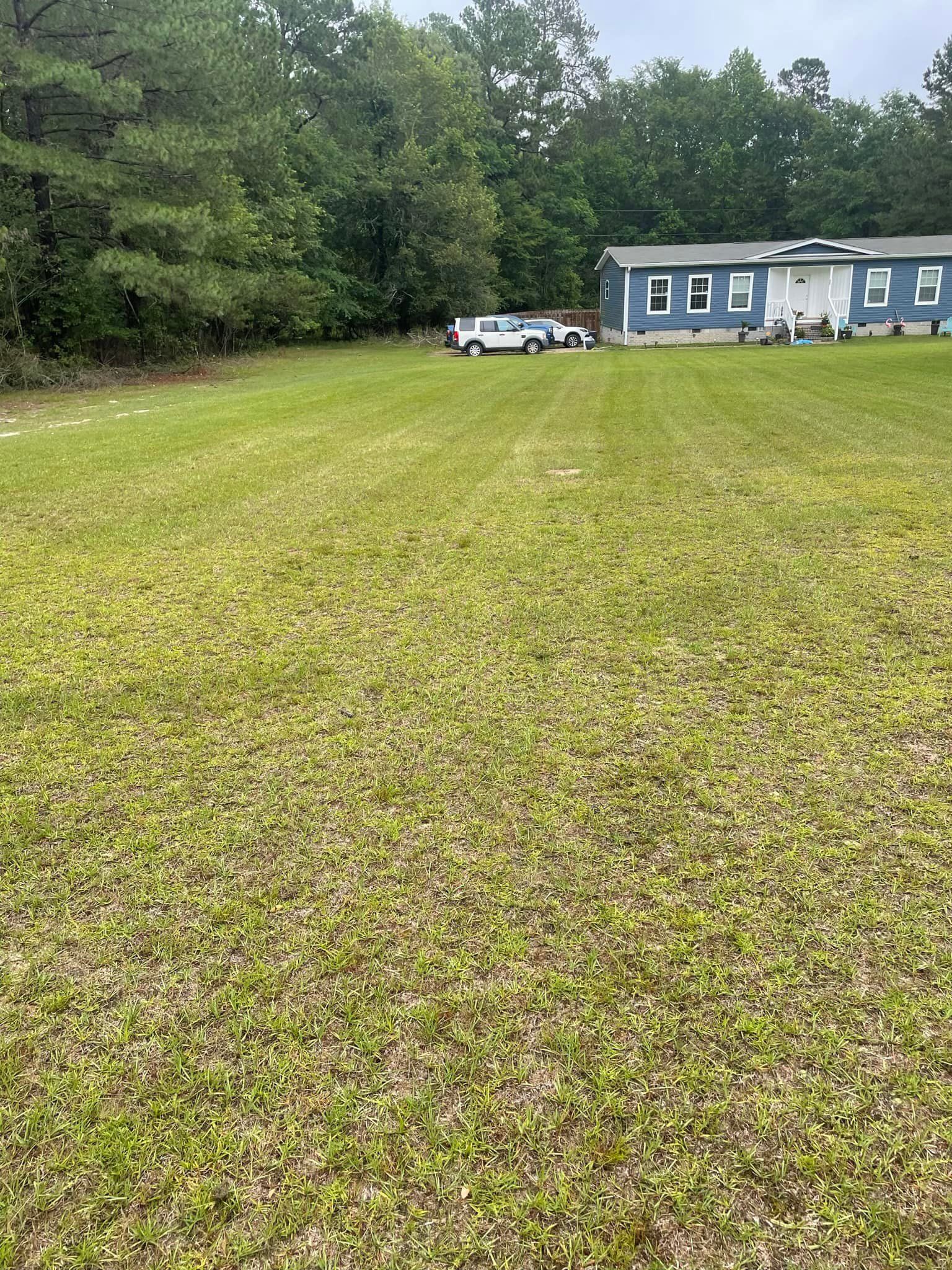 Landscaping for Sparks Landscaping in Augusta, GA