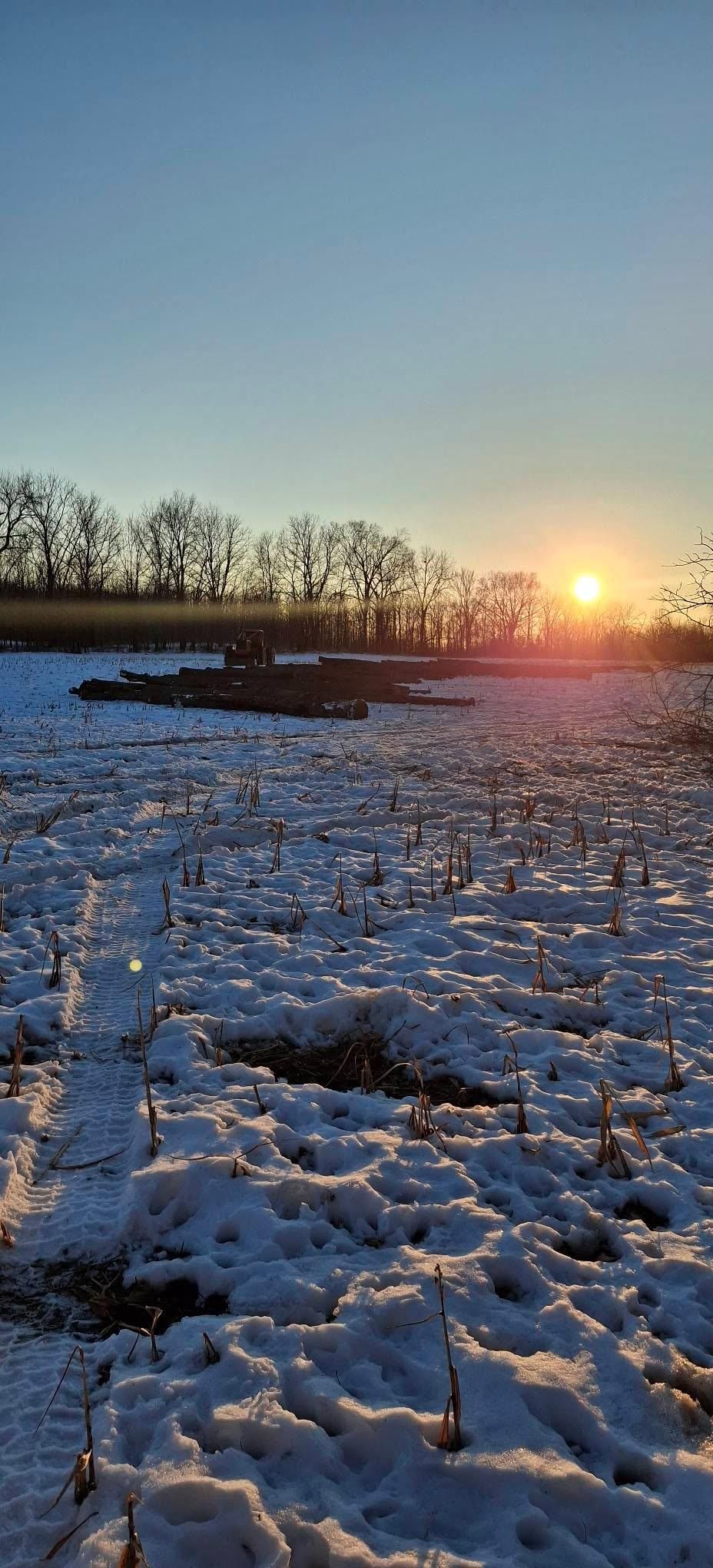  for God's Country Timber Management in Hillsdale, MI