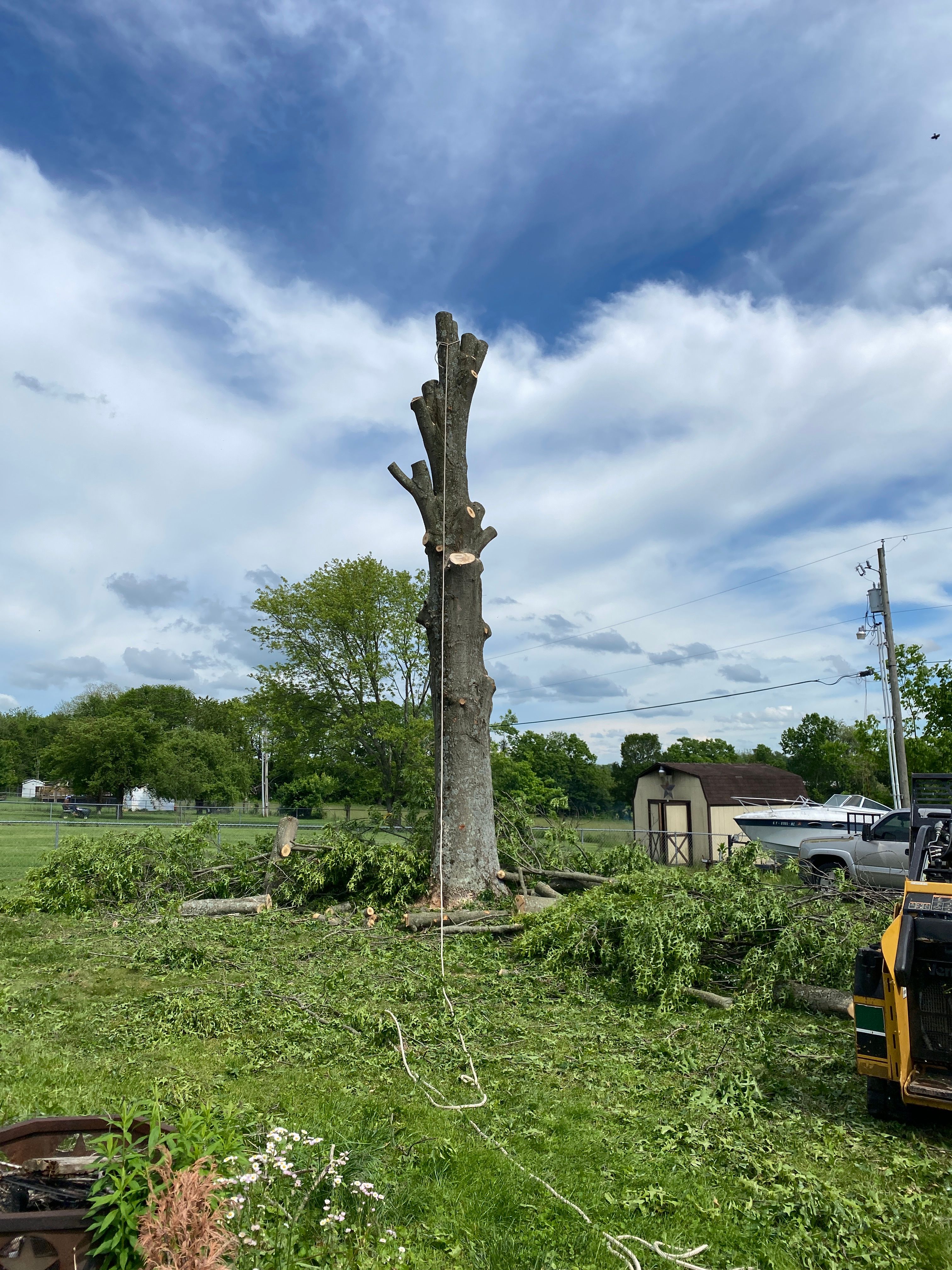 All Photos for Houtz Tree Service in Lexington, KY