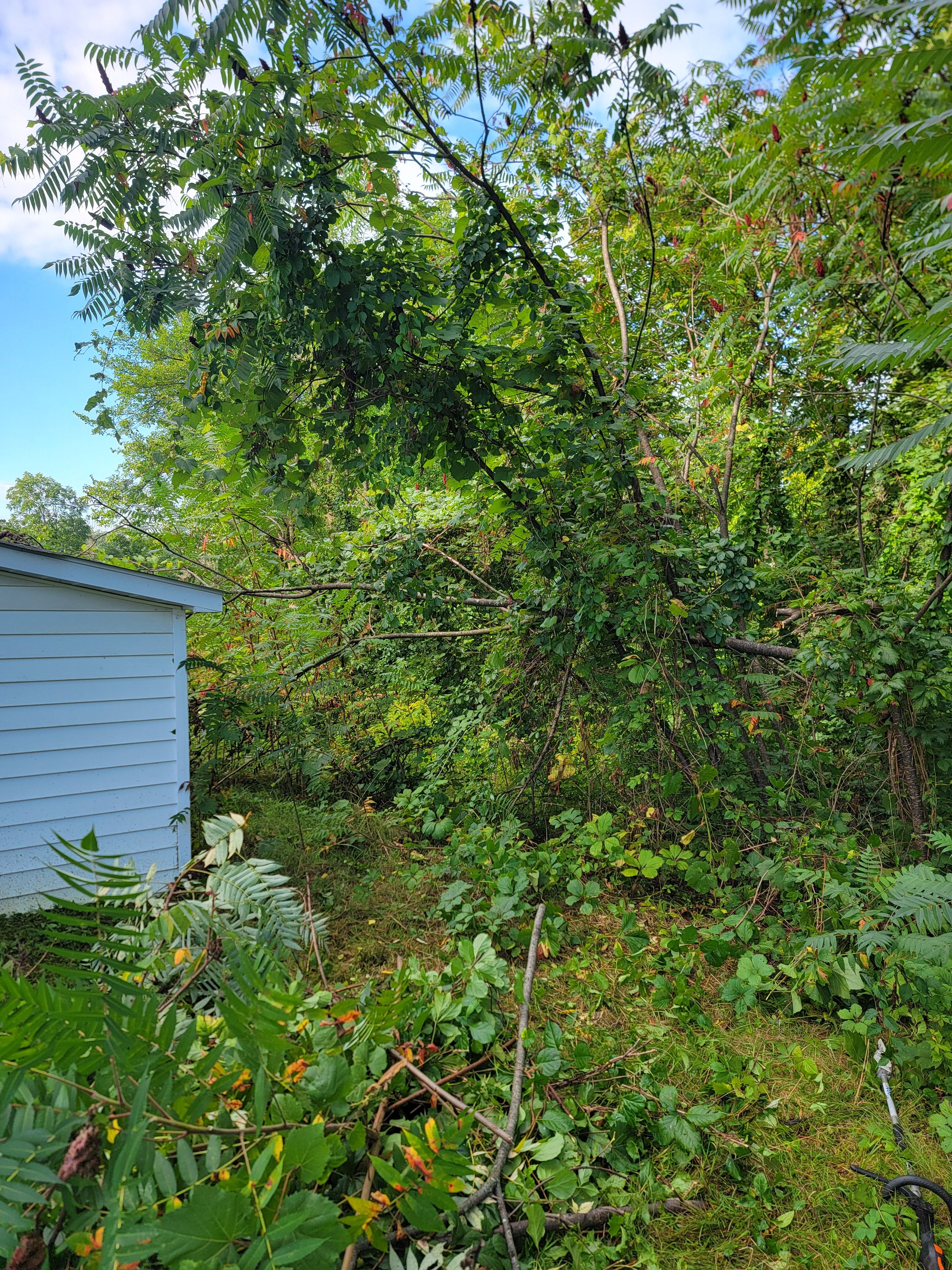  for Sweet Scapes in Ballston Spa, NY