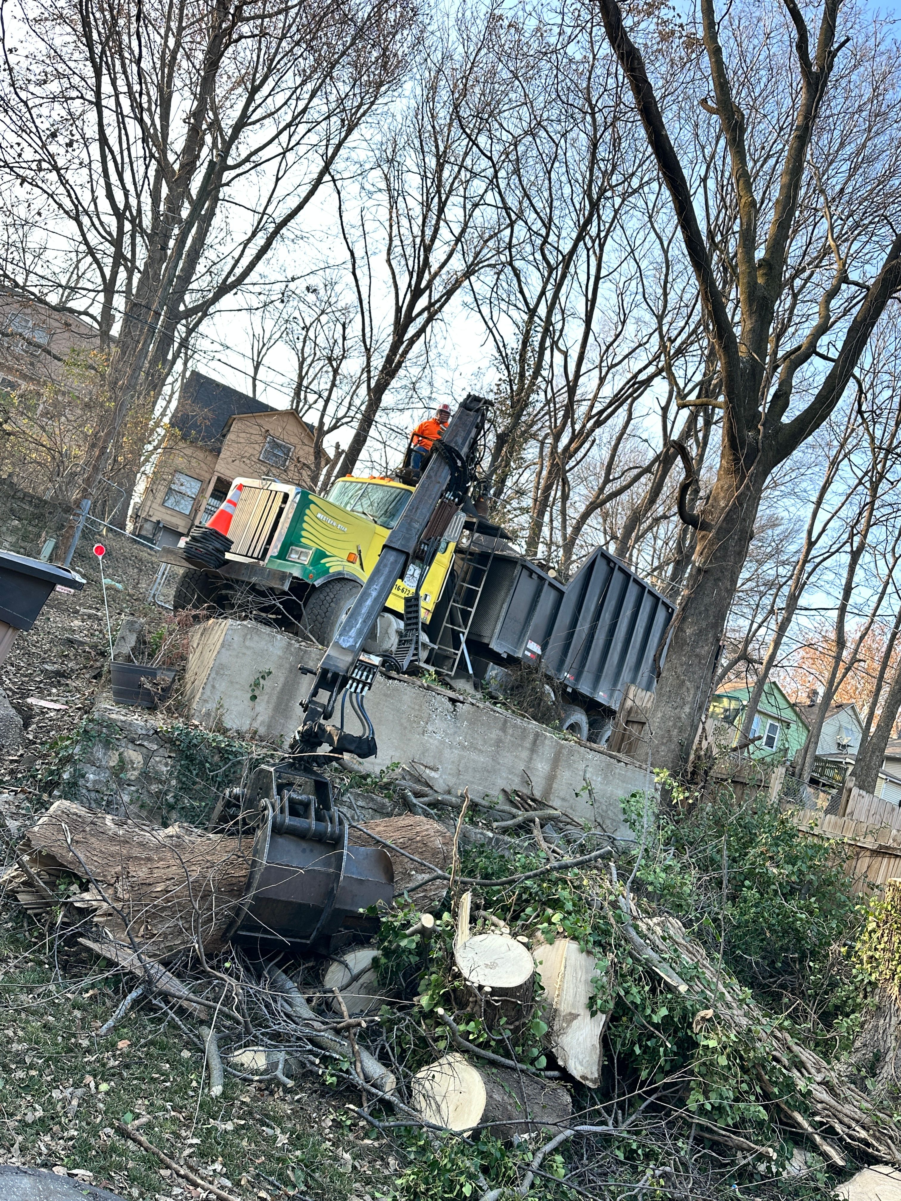 All Photos for Cross Family Tree Service in Kearney, MO