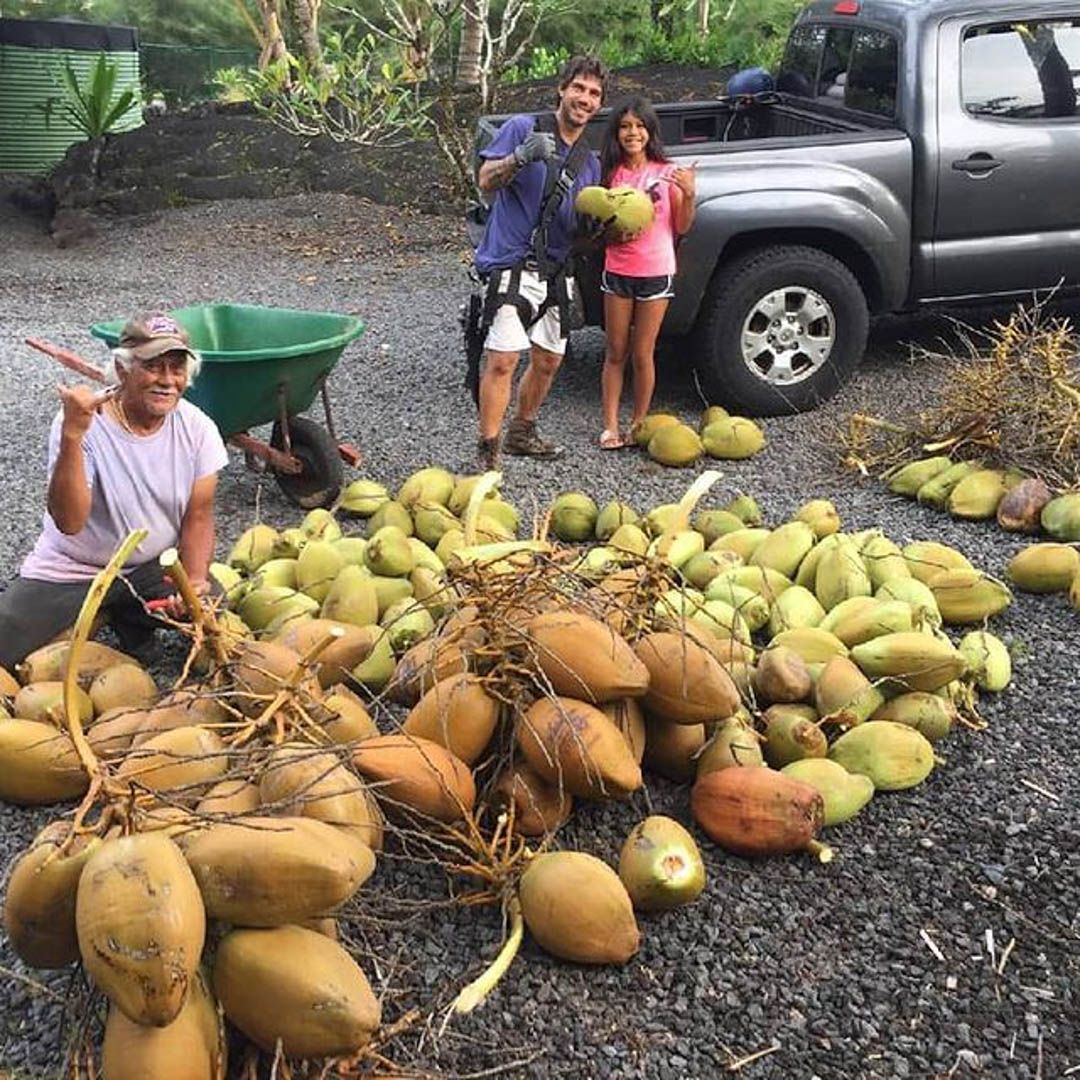  for Big Island Coconut Company in Pilialoha, HI