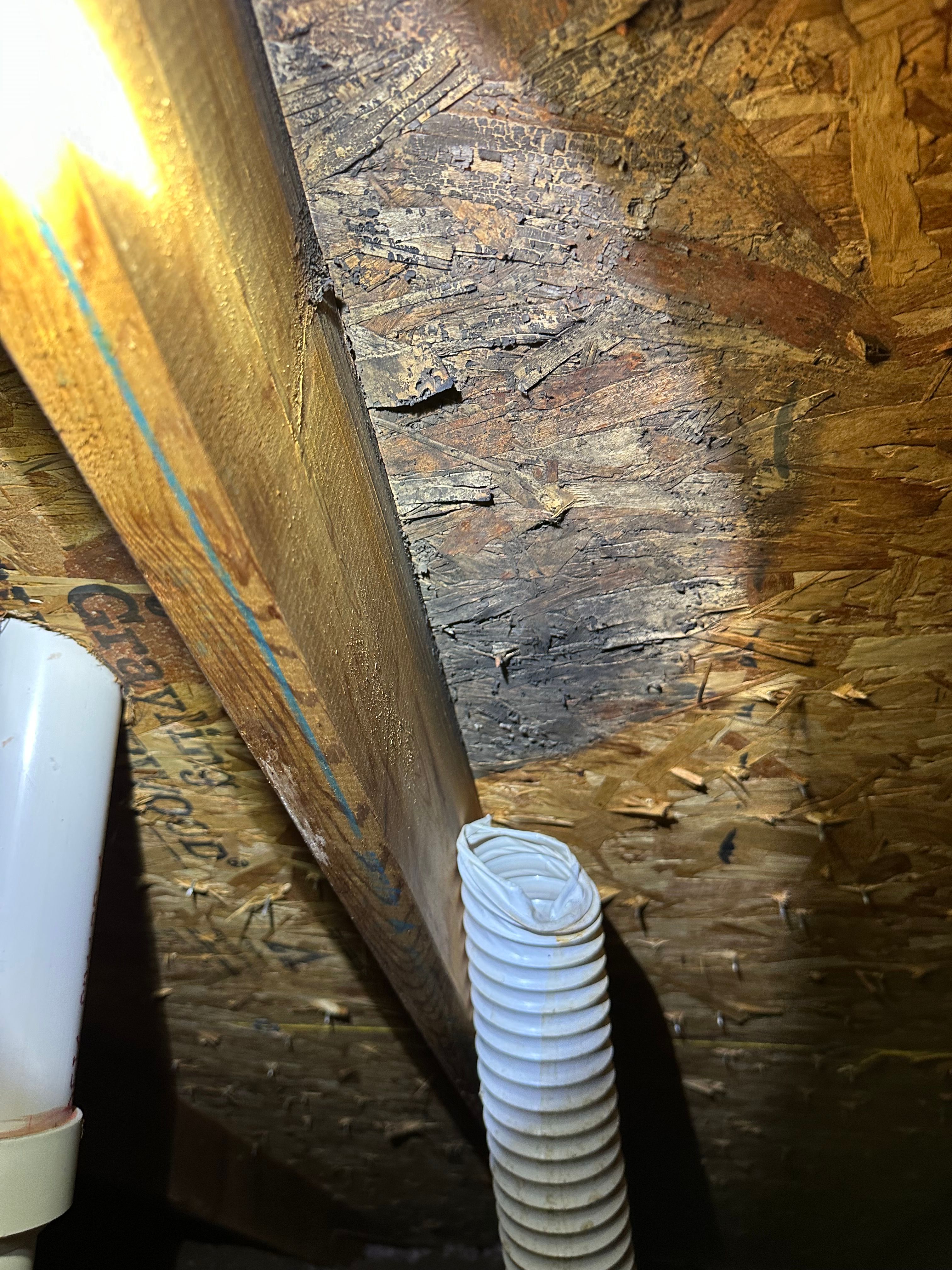  for RFS Home Inspections in Bowling Green, KY