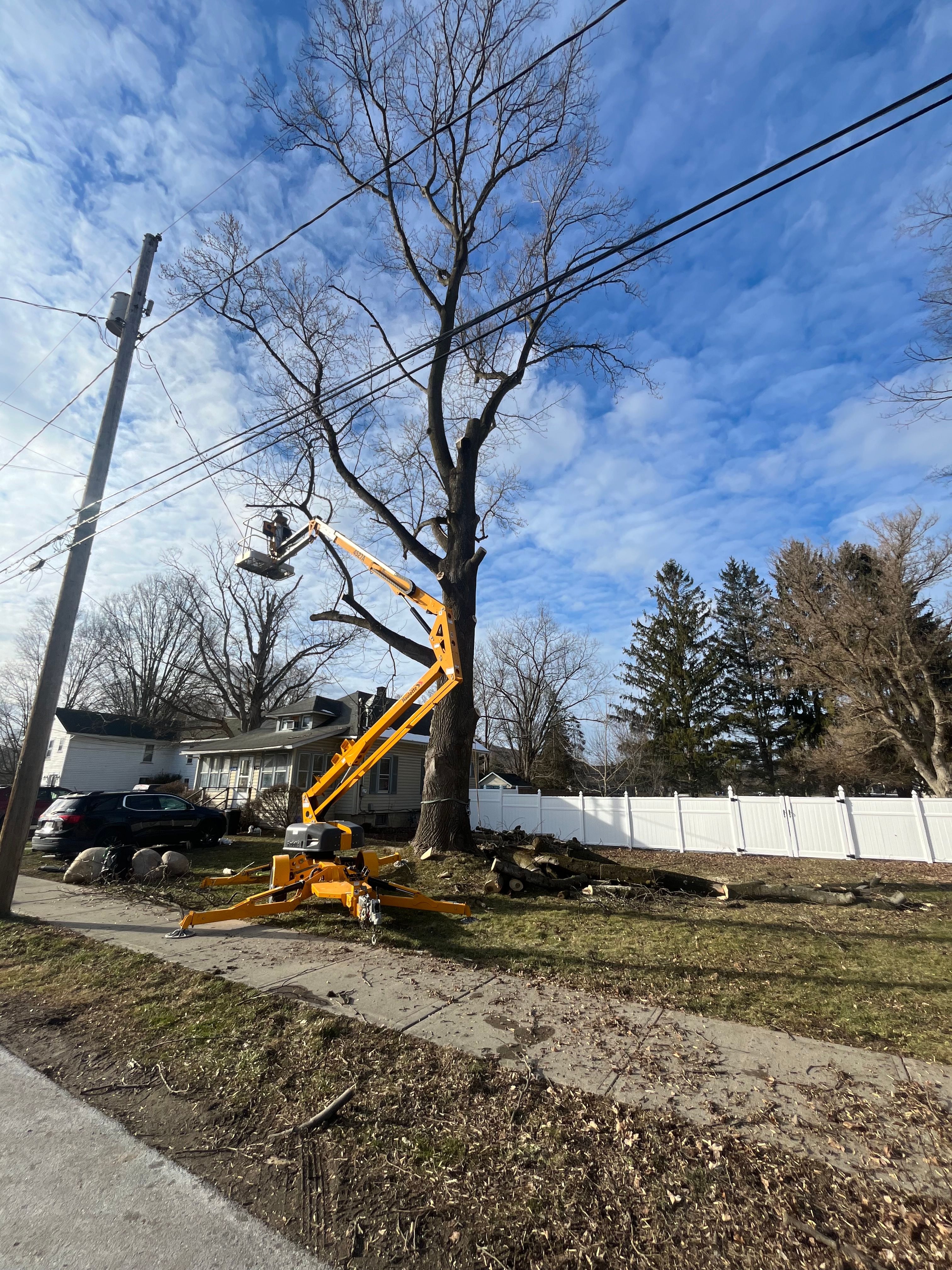 All Photos for Licensed to Cut Tree Service in Athens, PA