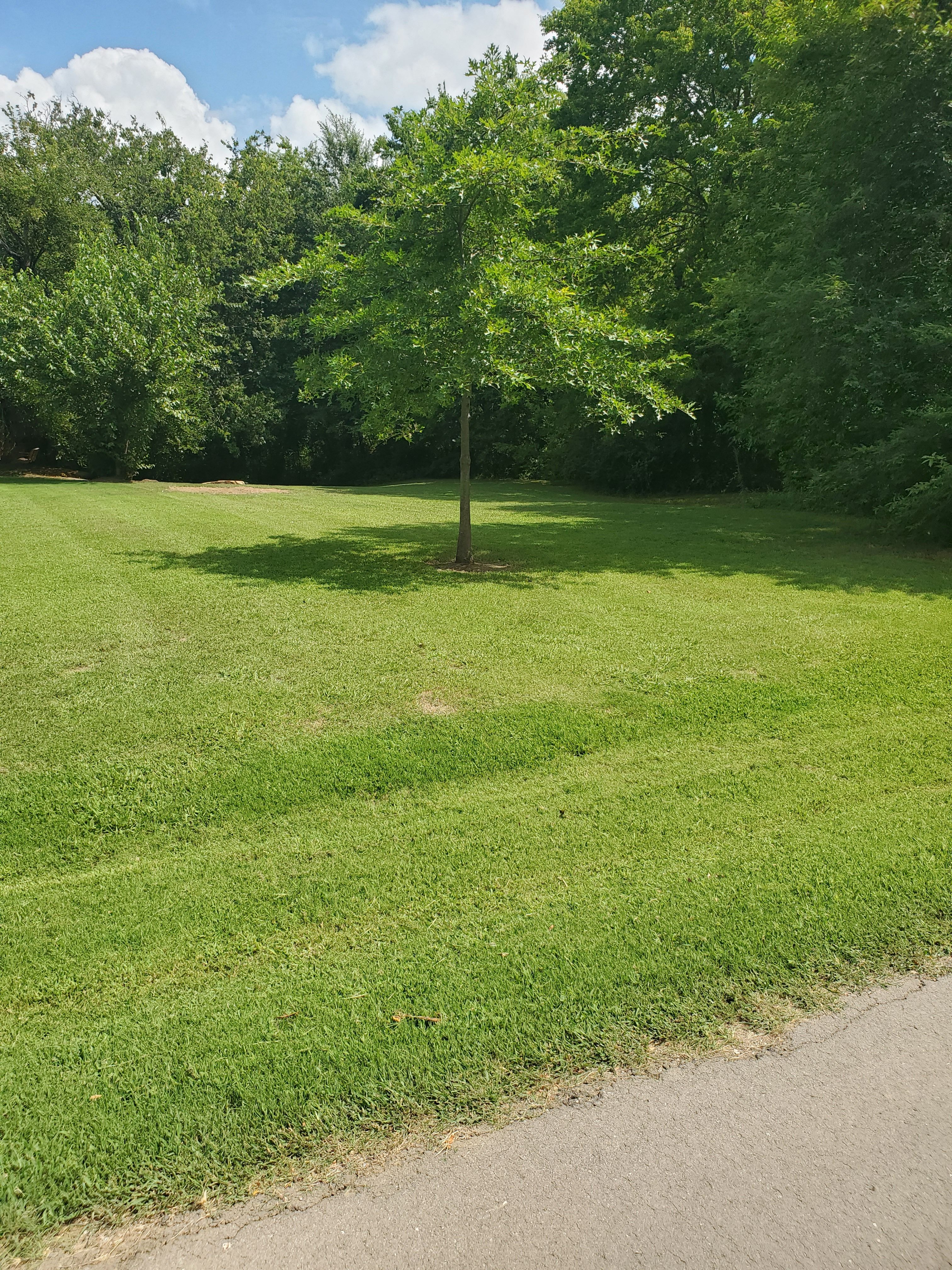  for R&M Lawn Services in Tulsa, OK