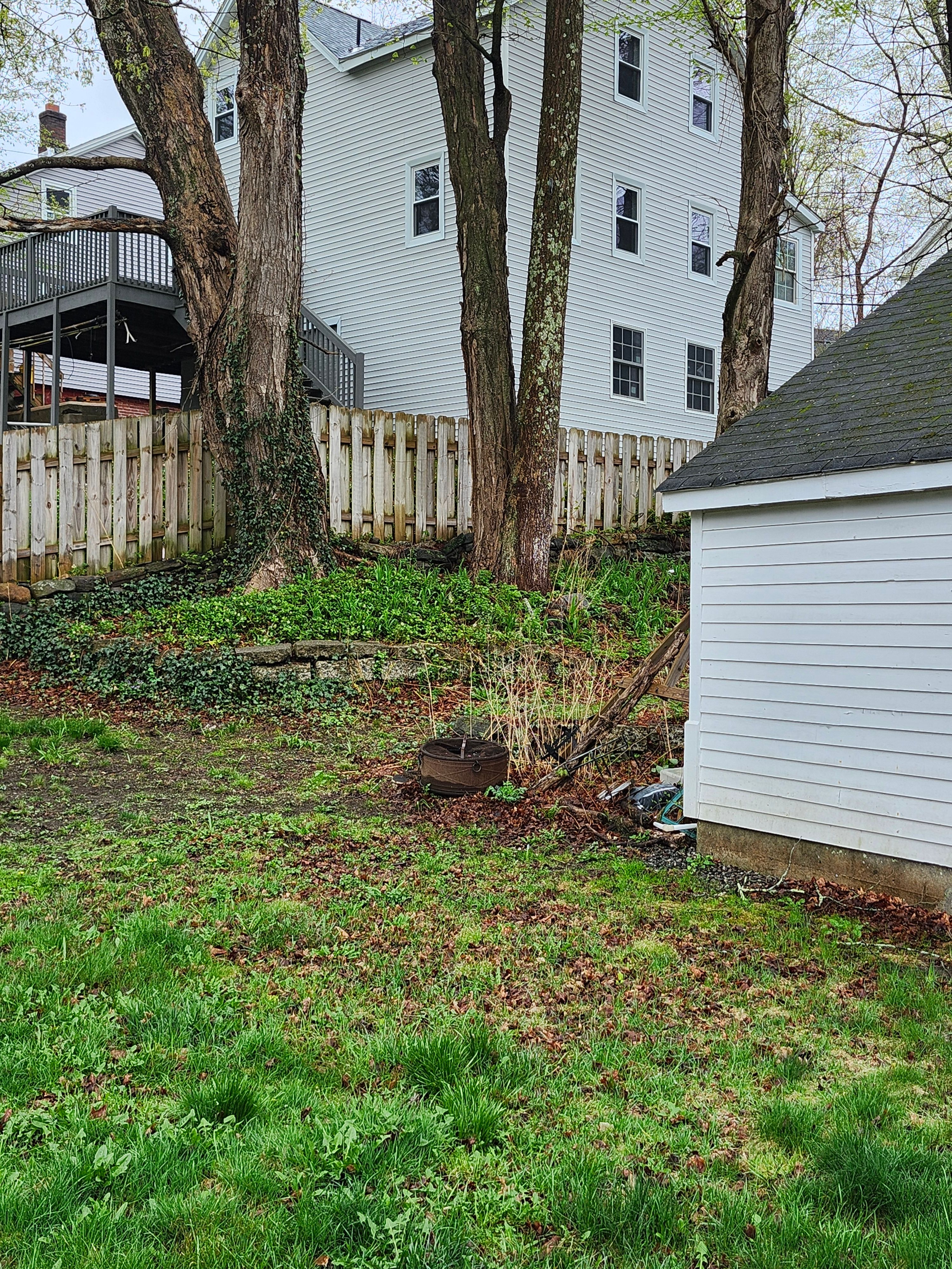 Spring & Fall Cleanups for Landscape Innovations LLC in Torrington, CT