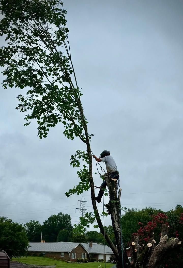  for Down South Tree Care and Landscaping in Maiden, NC