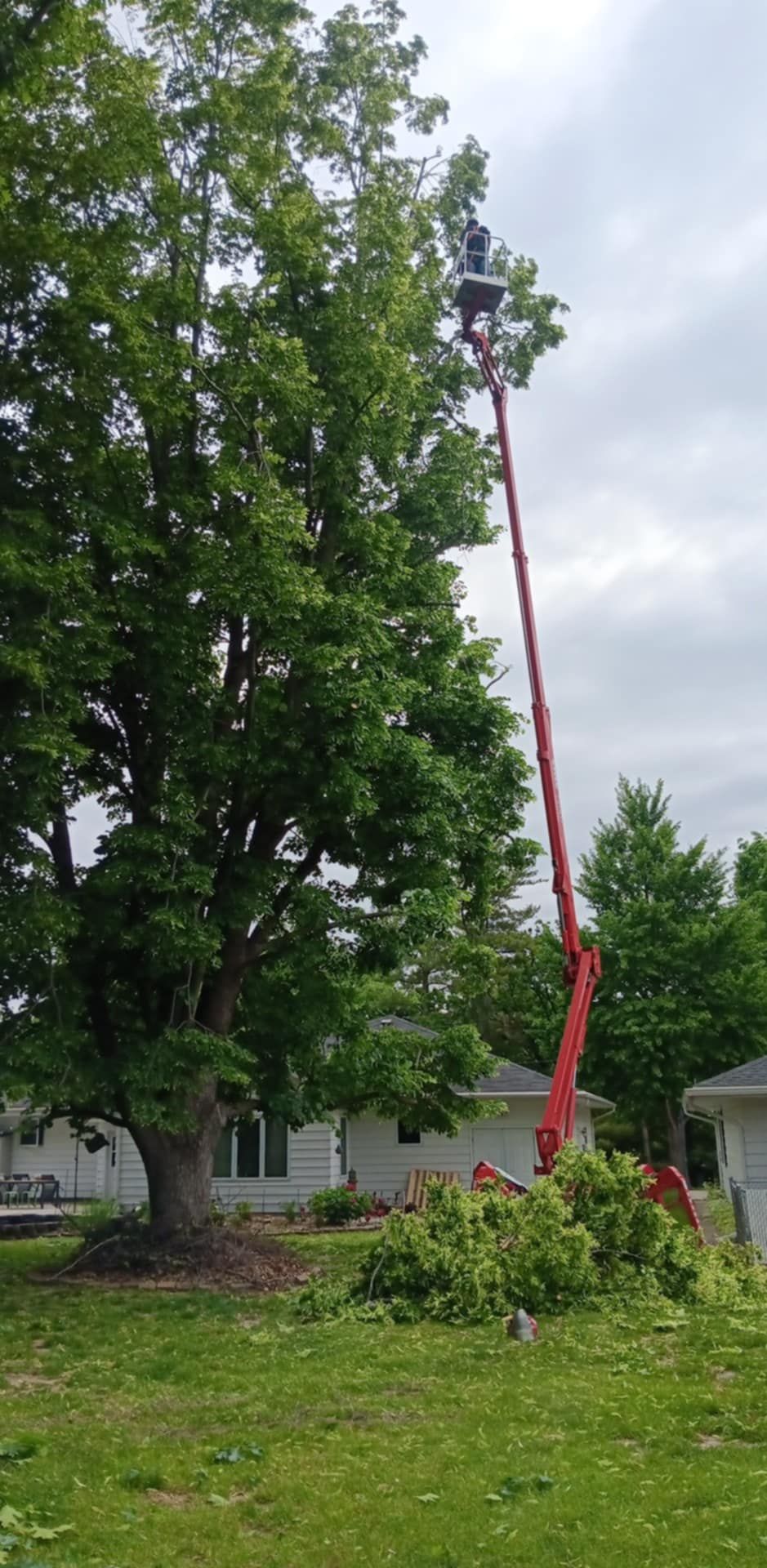  for Lawn Ranger Yard And Tree Service LLC in Ottumwa, IA