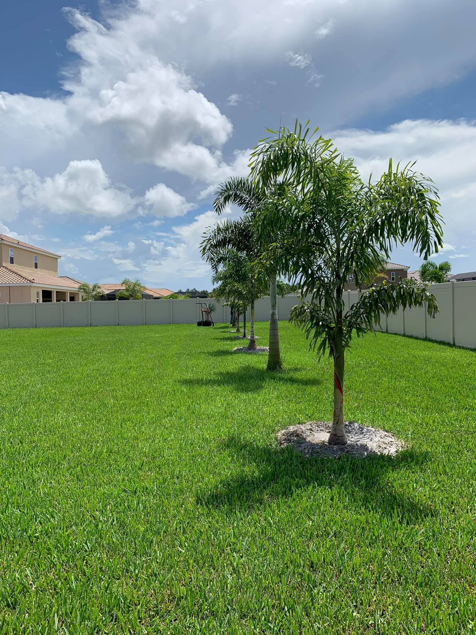  for Plant World LLC in Cape Coral, FL