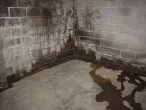 All Photos for EMR Epoxy Flooring & Waterproofing in Linden, NJ