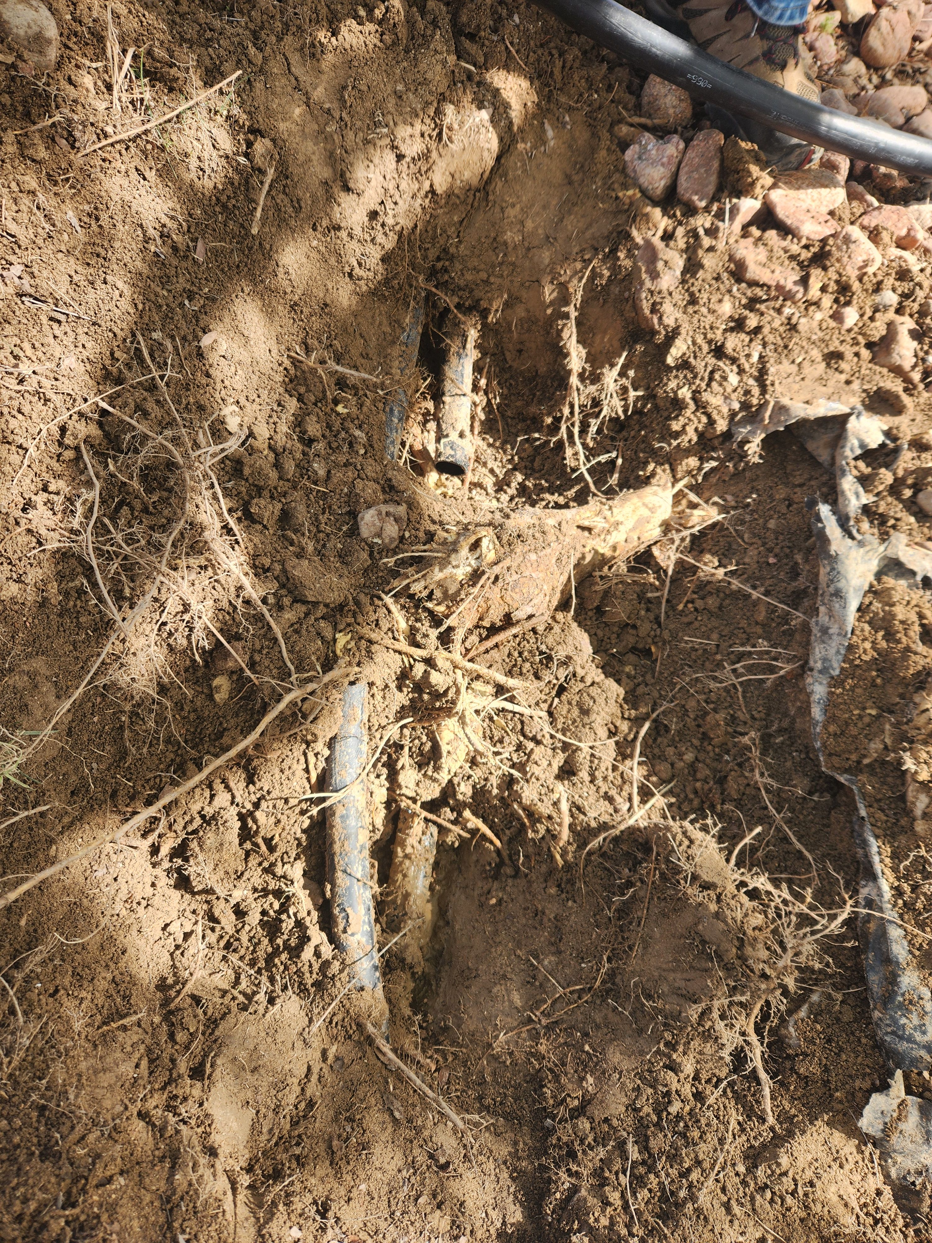 All Photos for CDM Sprinkler in Pueblo County, CO