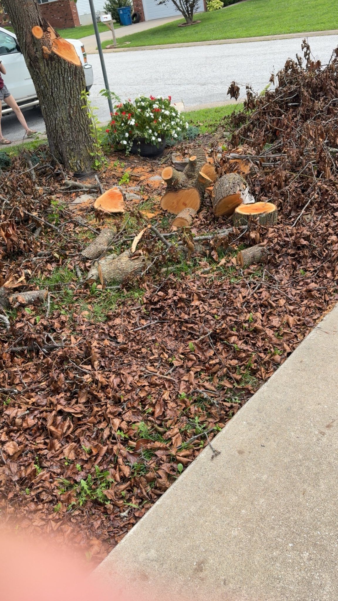 Landscaping for Wright Lawn Services in Ozark, MO