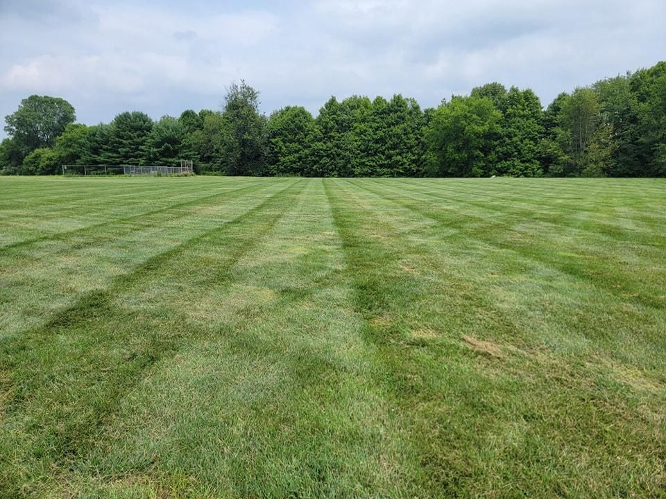 All Photos for Tingley's Green Land Services in Springfield, Ohio