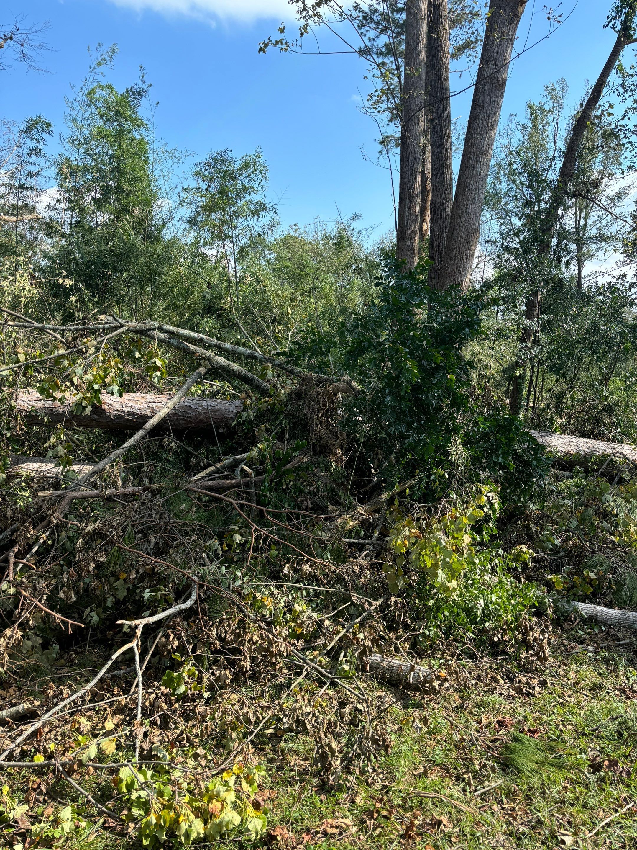  for Bulldawg Disaster Response in Atlanta, GA