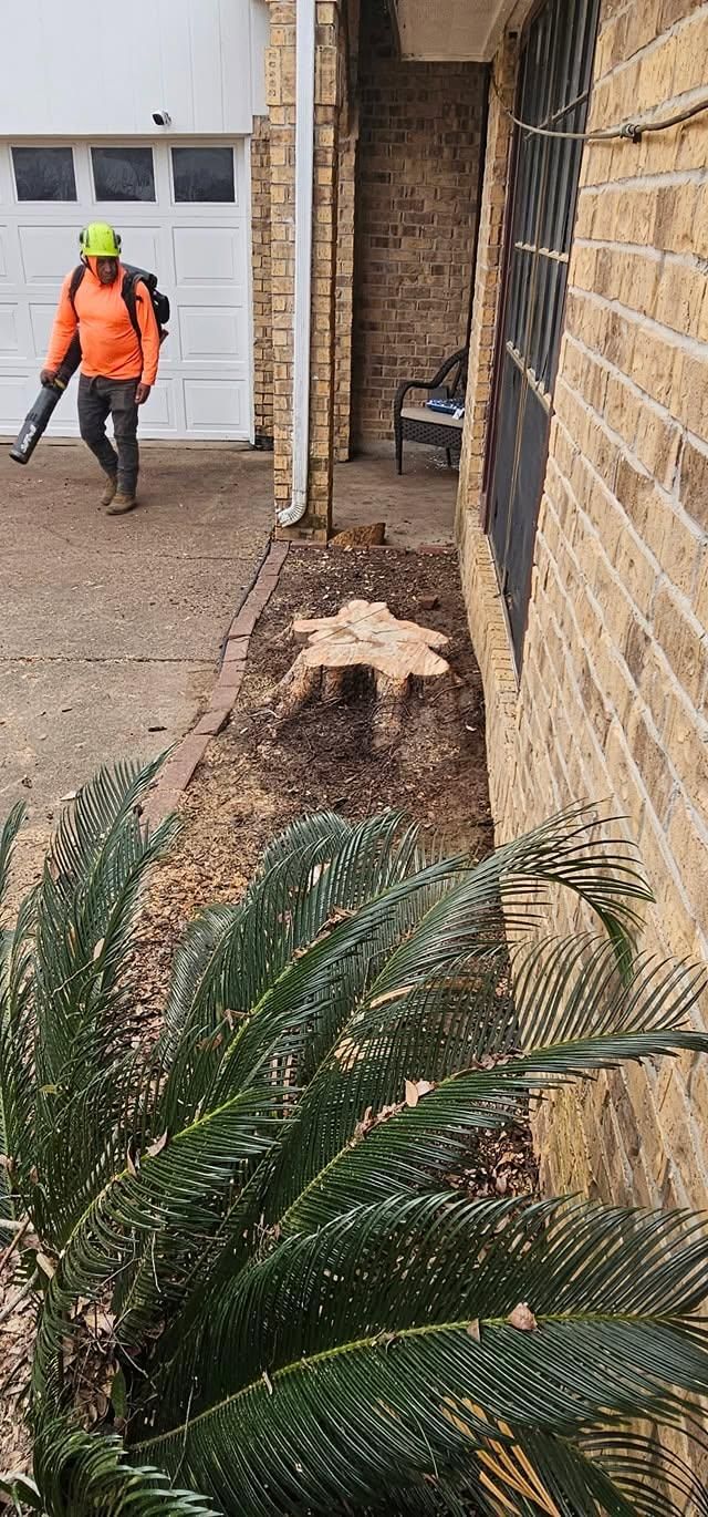  for Servin's Tree Care  in Houston, TX