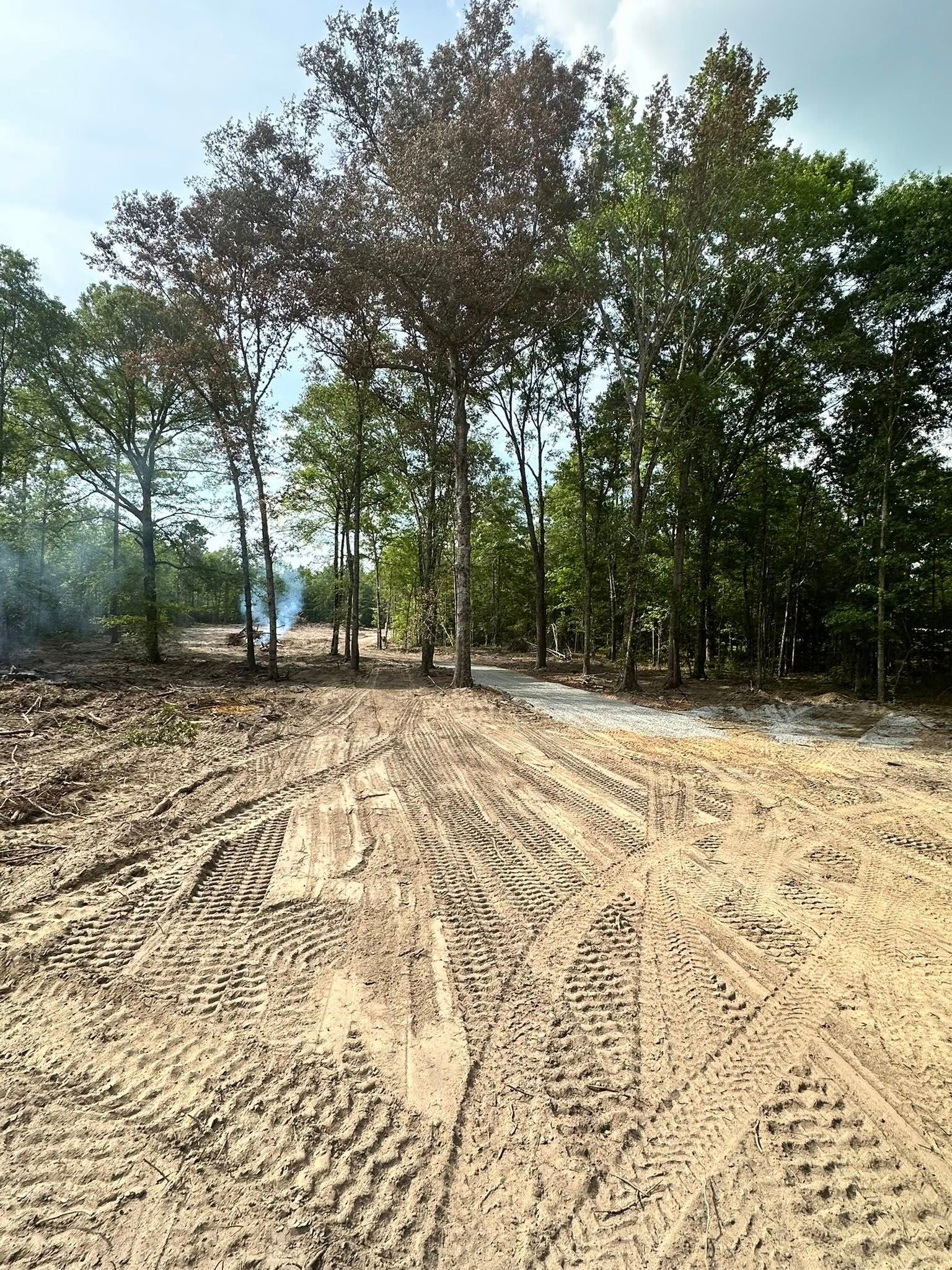 Tree Removal for Page Outdoor Services in Wrightsville, GA