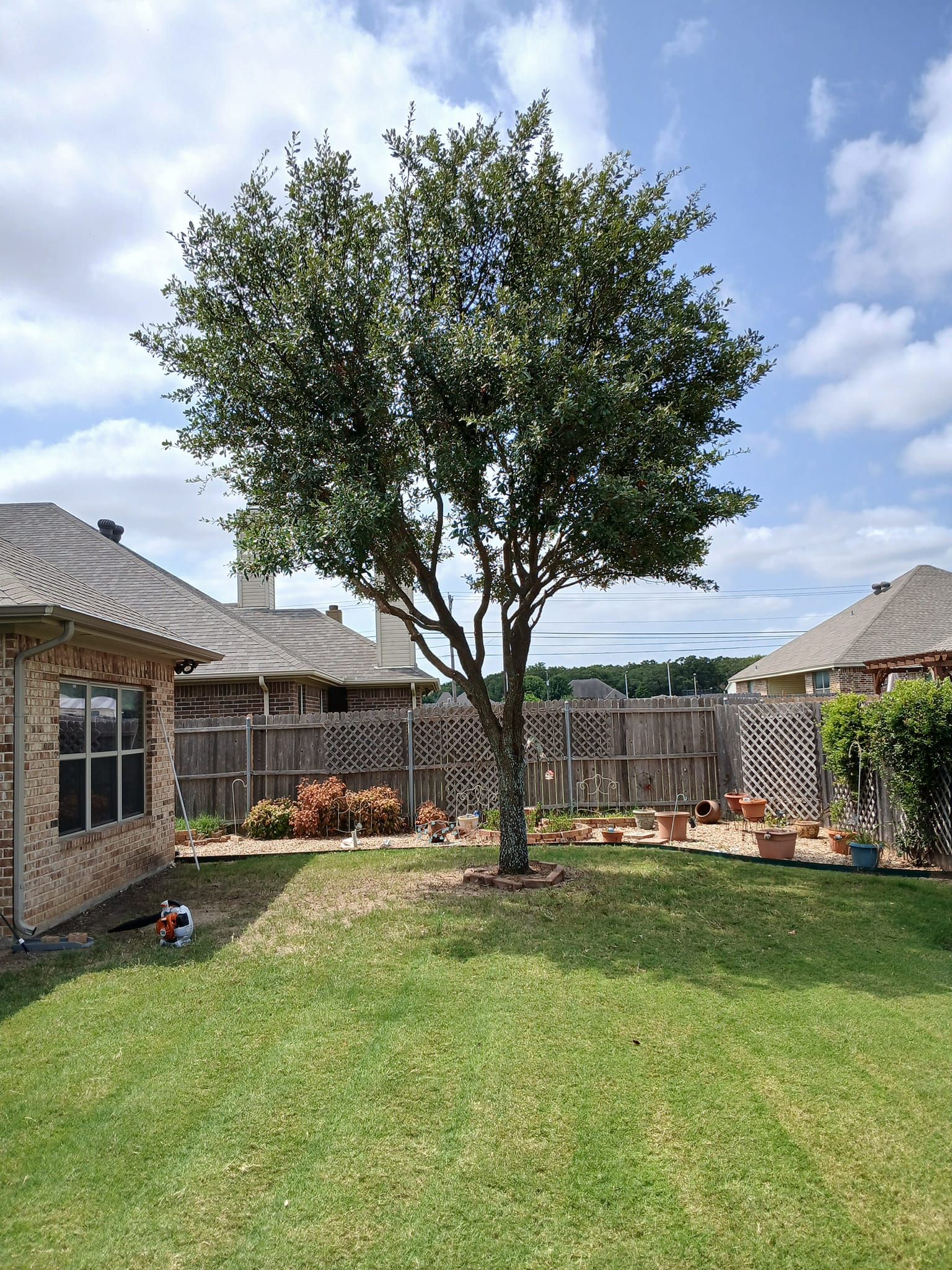 Tree Removal for Marks Tree Service in Fort Worth, TX