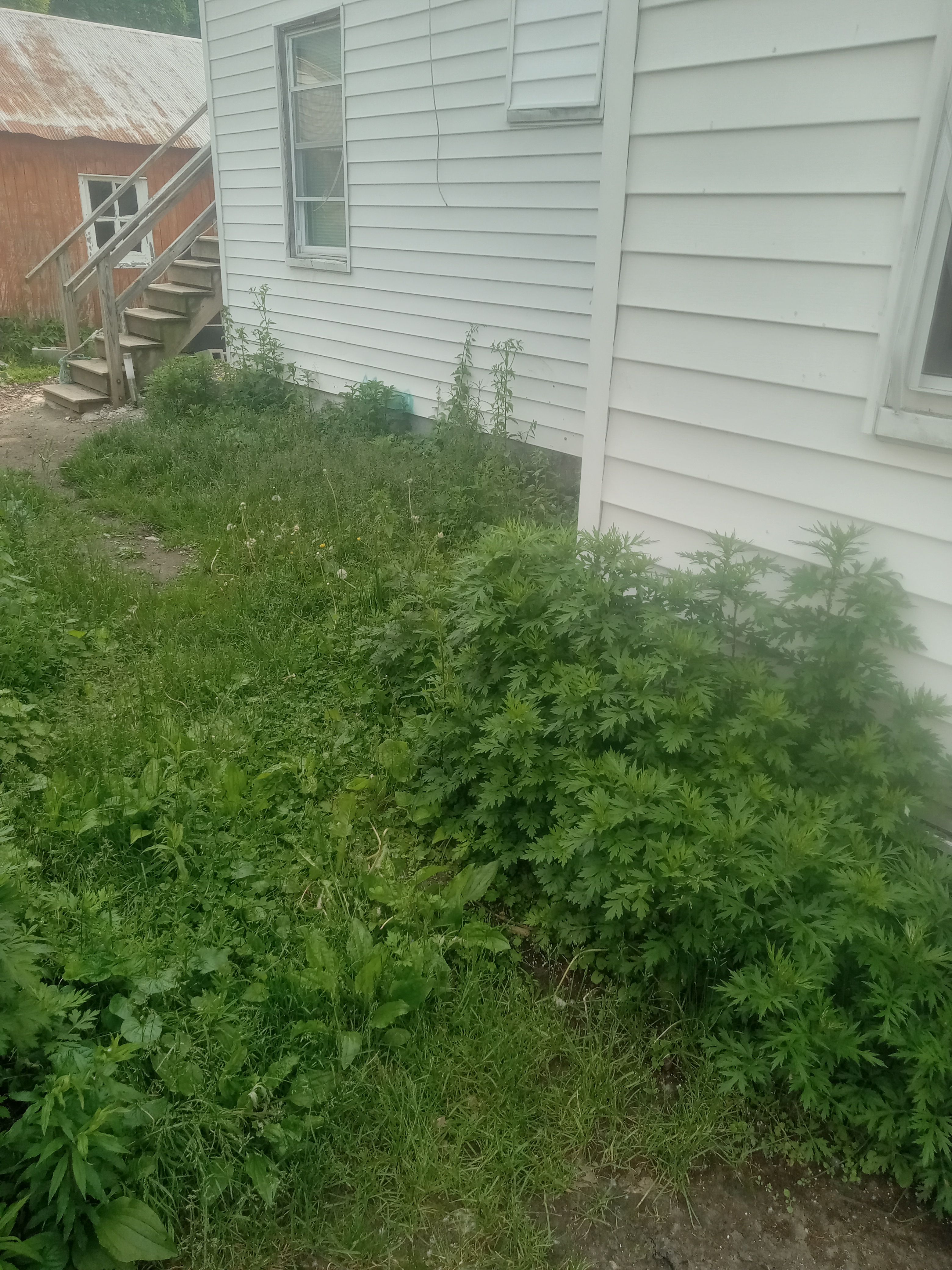 for K Brown's Property Maintenance in Pittsfield, MA
