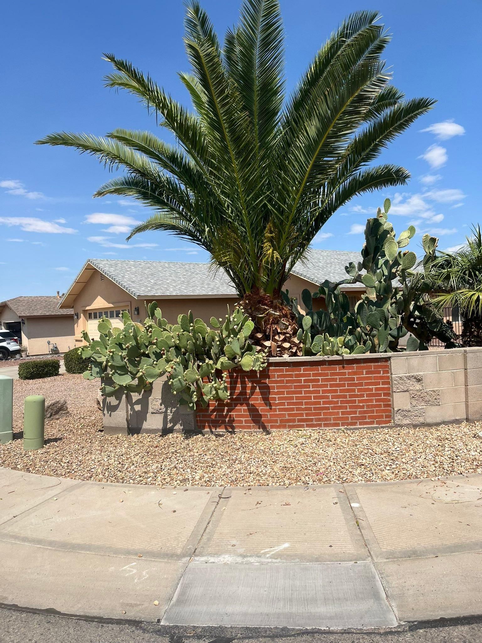  for Top Notch Landscape Services LLC in Mohave Valley, AZ