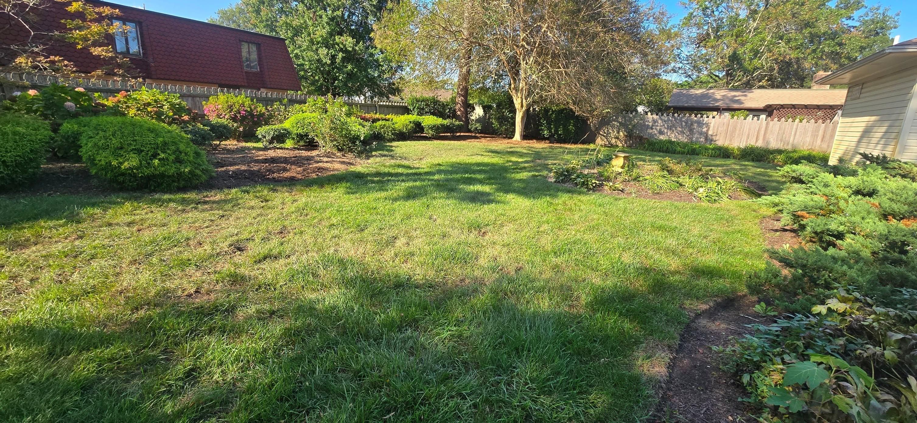  for Beach Tree Care in Virginia Beach, VA