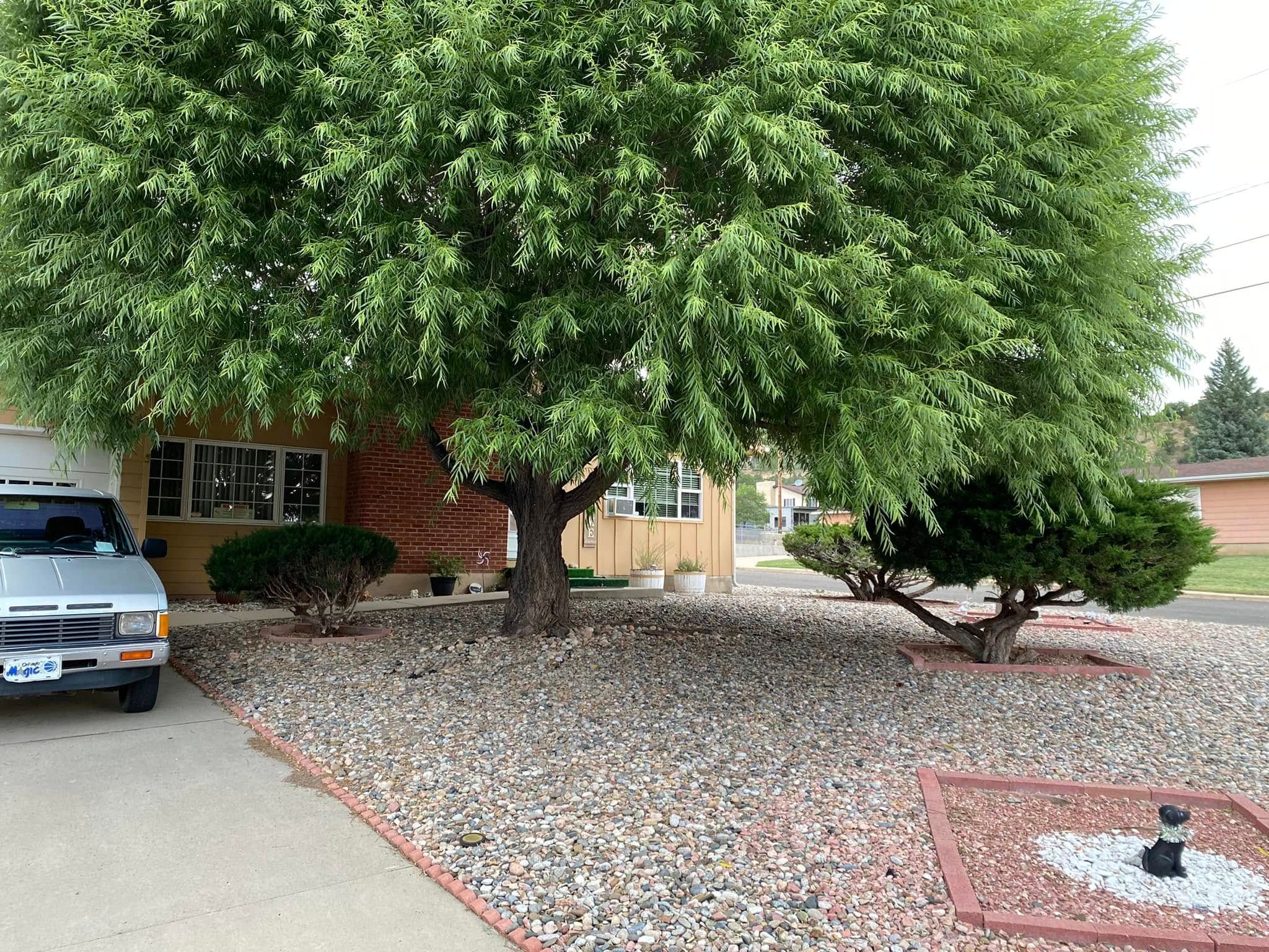 All Photos for Raton Property Maintenance in Raton, NM