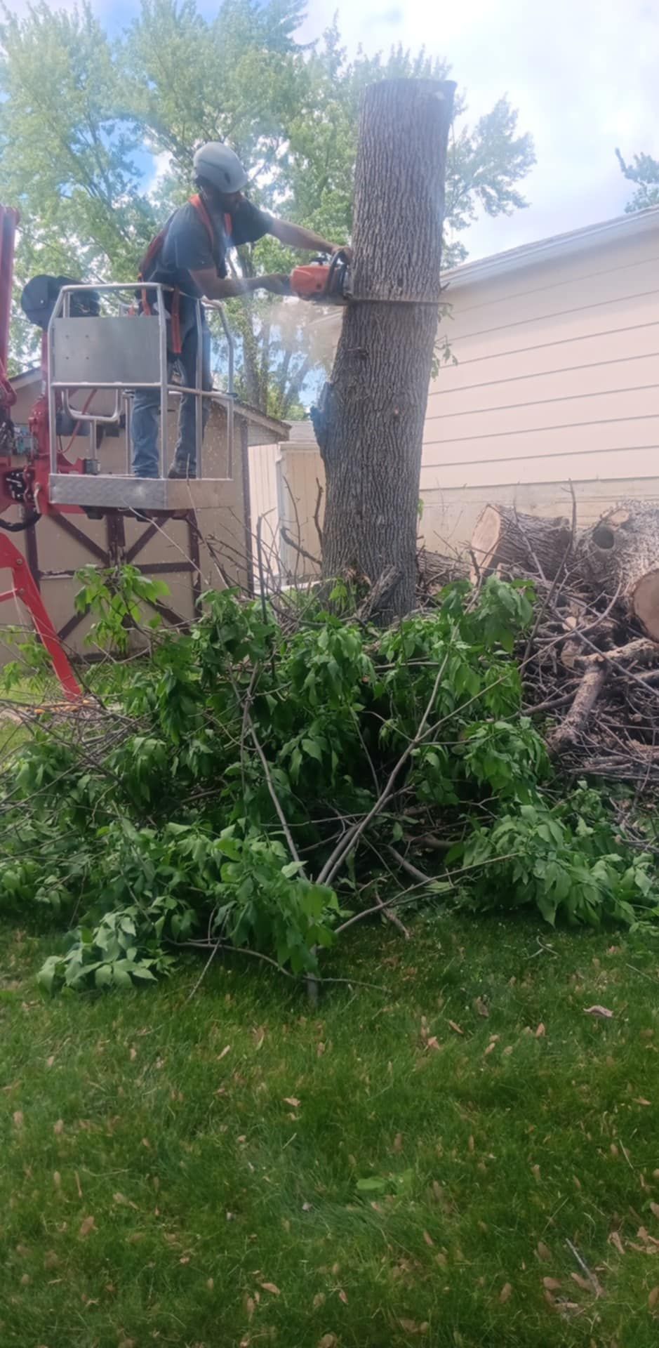  for Lawn Ranger Yard And Tree Service in Ottumwa, IA