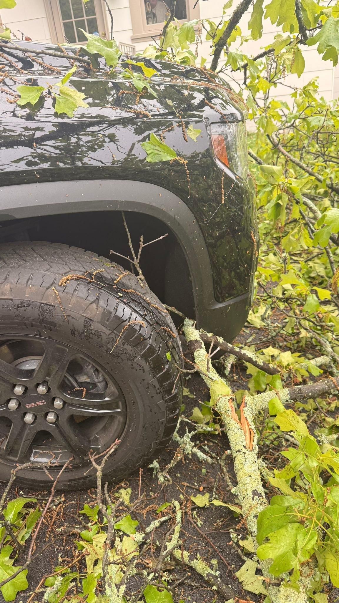  for Chipper's Tree Service  in Fort Payne, AL