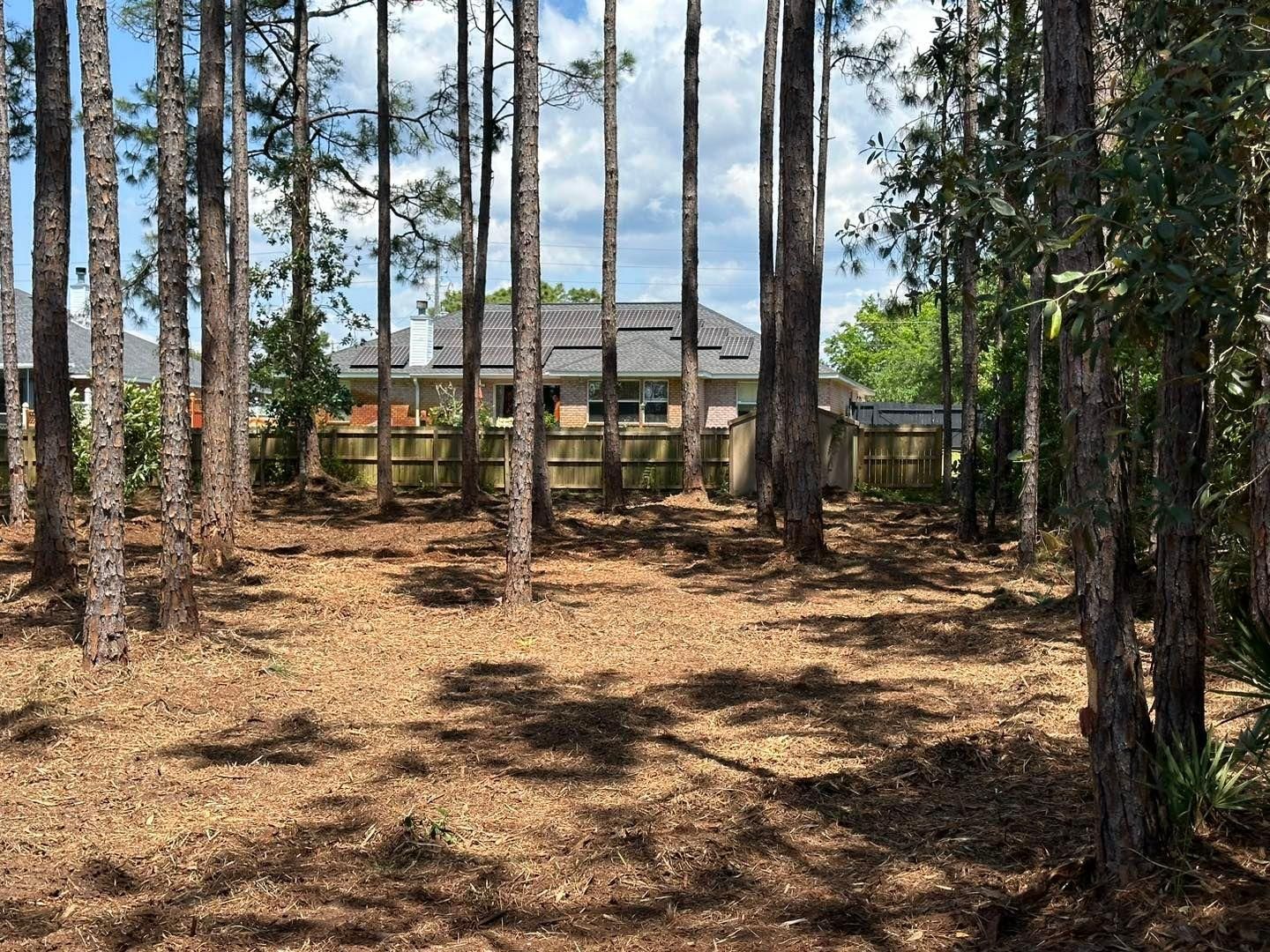 All Photos for White’s Land Maintenance in Milton,, FL