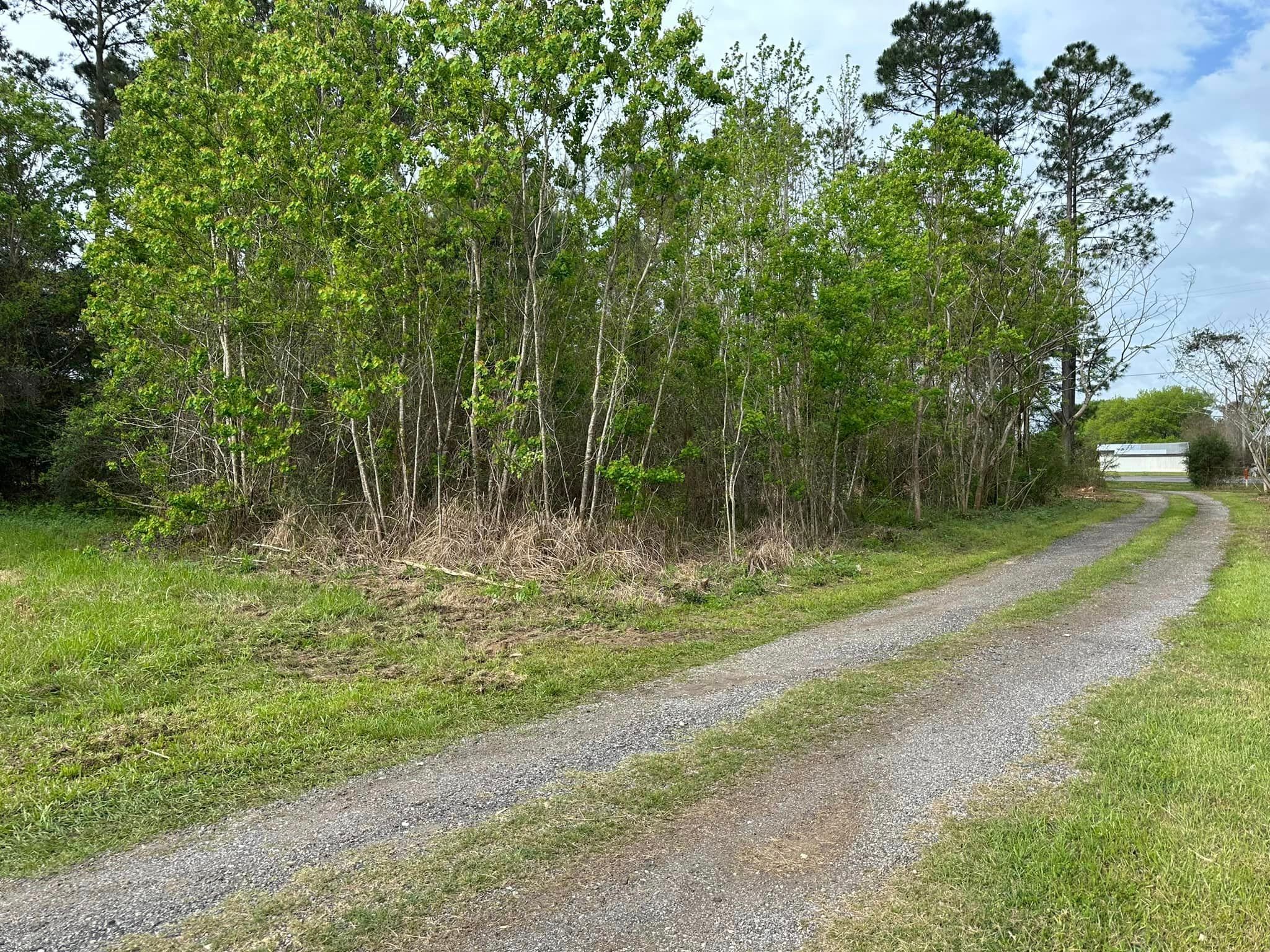 All Photos for White’s Land Maintenance in Milton,, FL