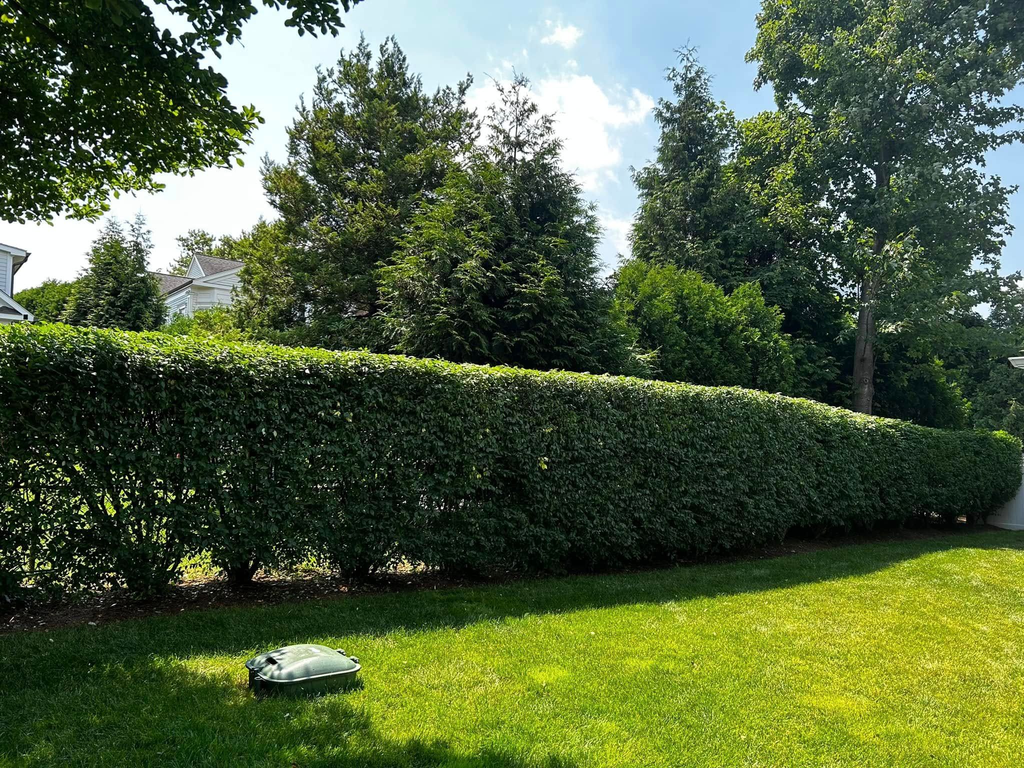  for Jose Gonzalez Landscaping in Stamford, CT