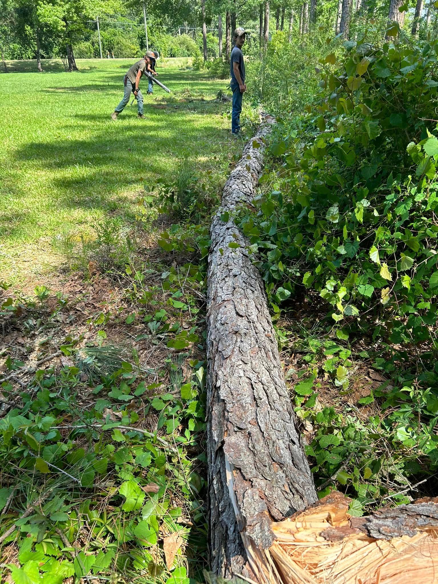  for Old Florida Lawncare in Baker, FL