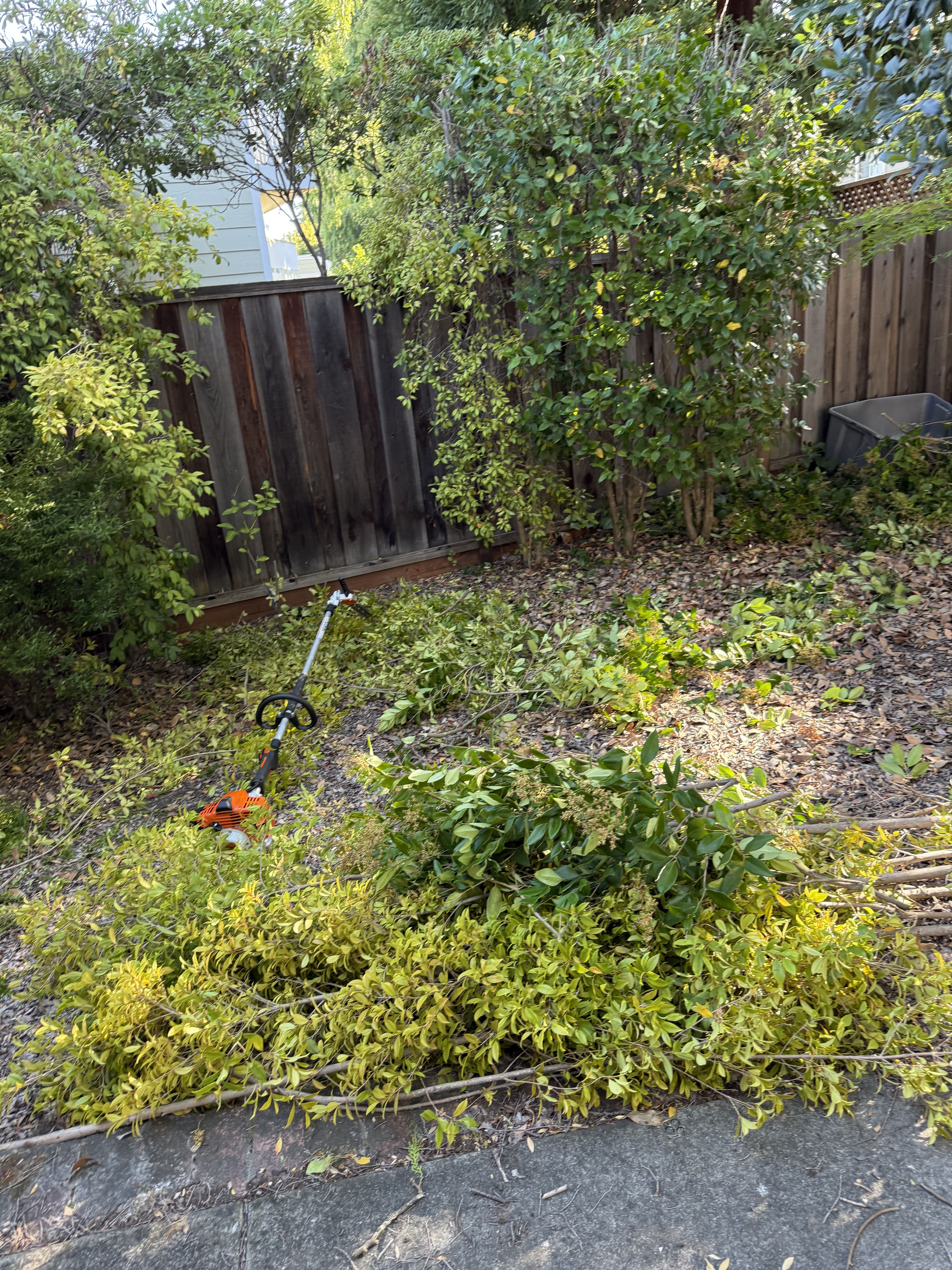  for CBA Landscaping in Hayward, CA