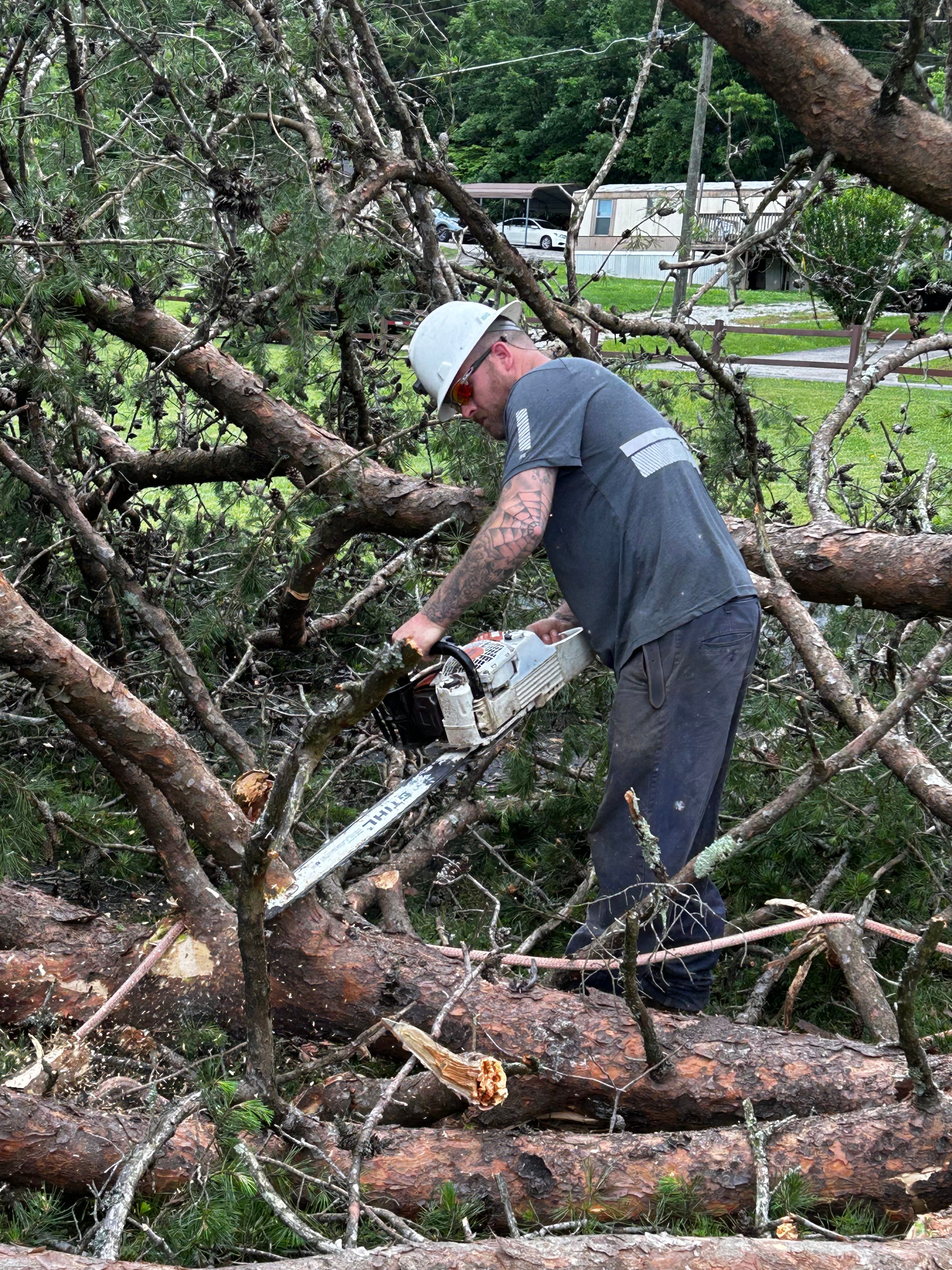  for Brocks Tree Service LLC in Rogersville, TN