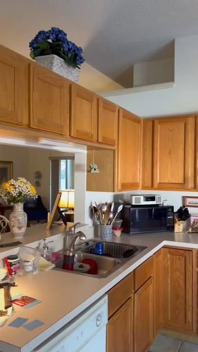  for Color Me Fresh Painting in Orlando, FL