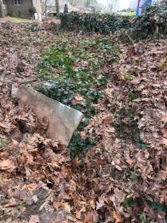  for Piedmont Lawn and Landscaping in Lexington, NC