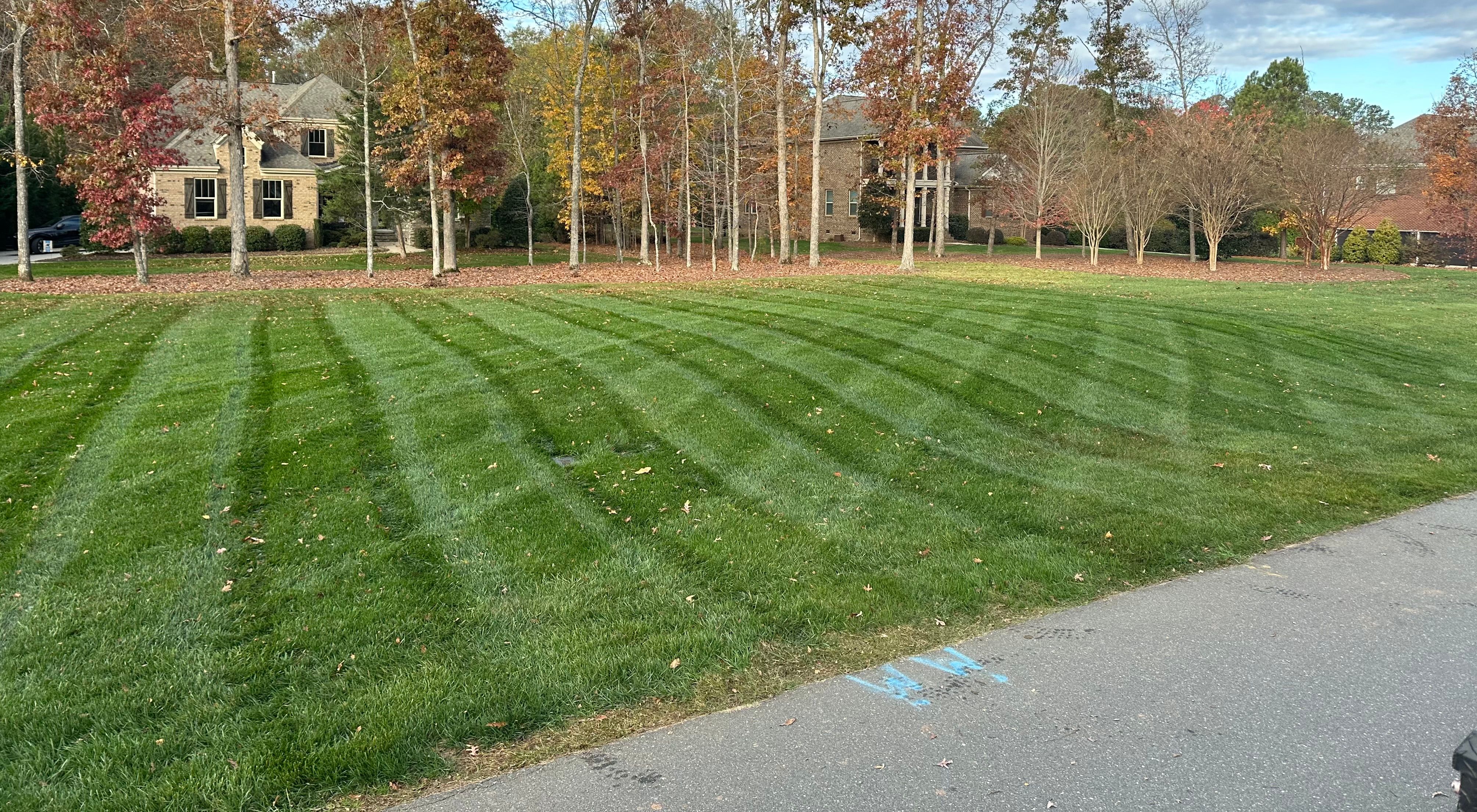  for Pecina Pine Needles in Monroe, NC