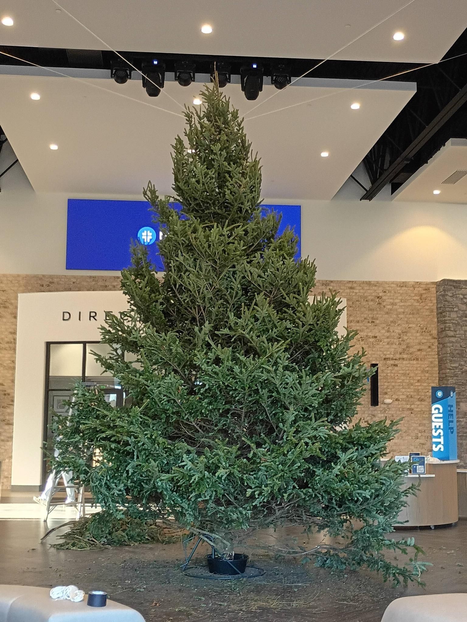 All Photos for BAM Another Pinestraw Lot in Flowery Branch, GA