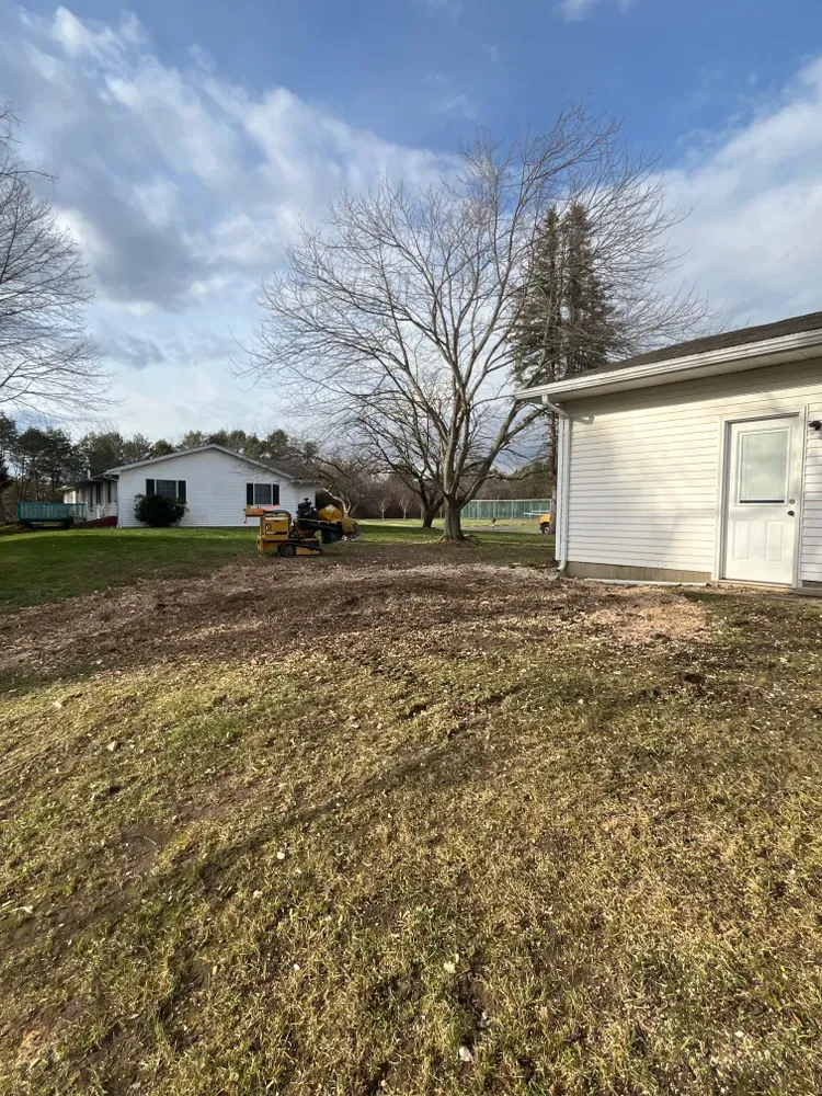 All Photos for Licensed to Cut Tree Service in Athens, PA