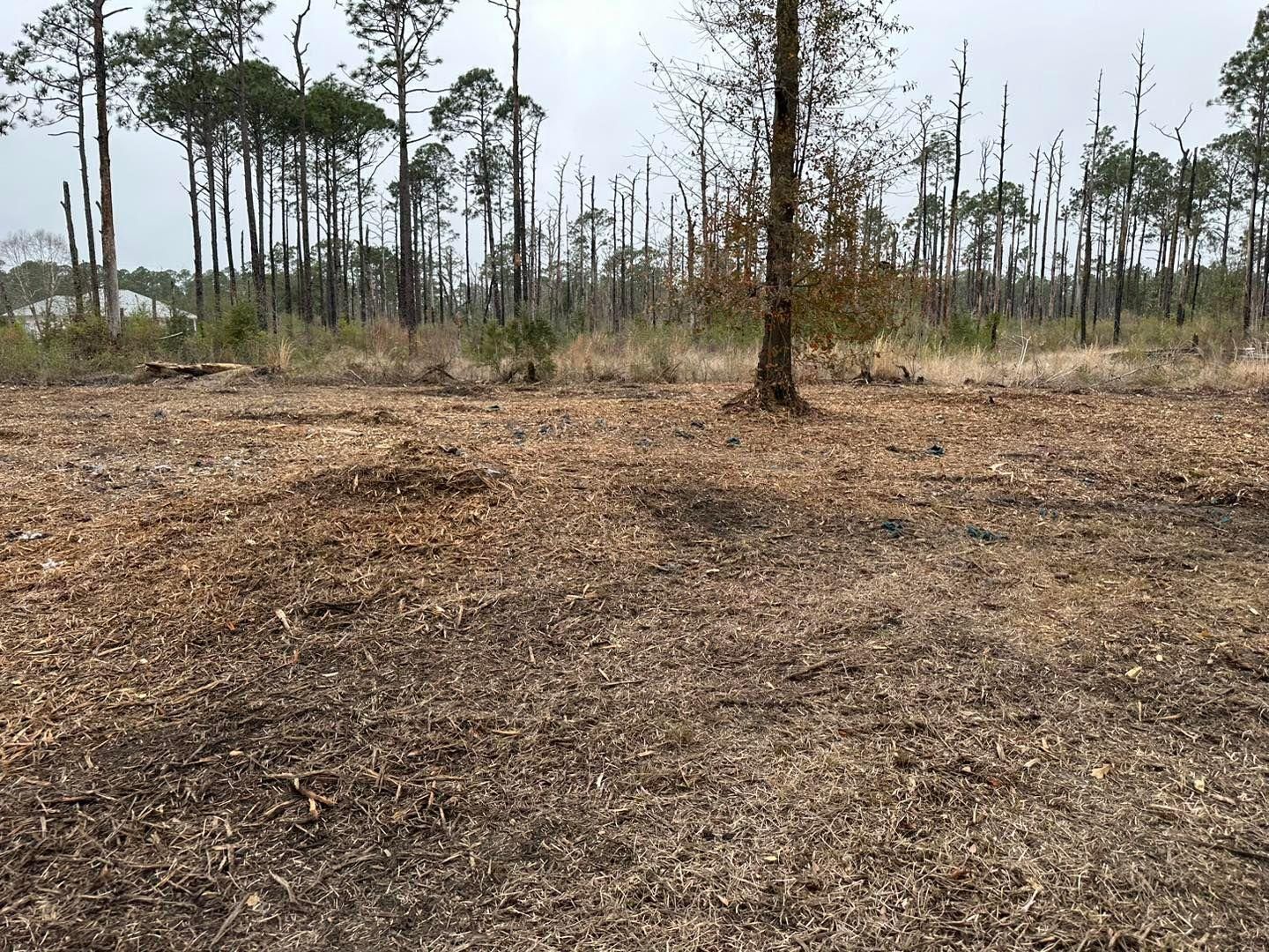 All Photos for White’s Land Maintenance in Milton,, FL